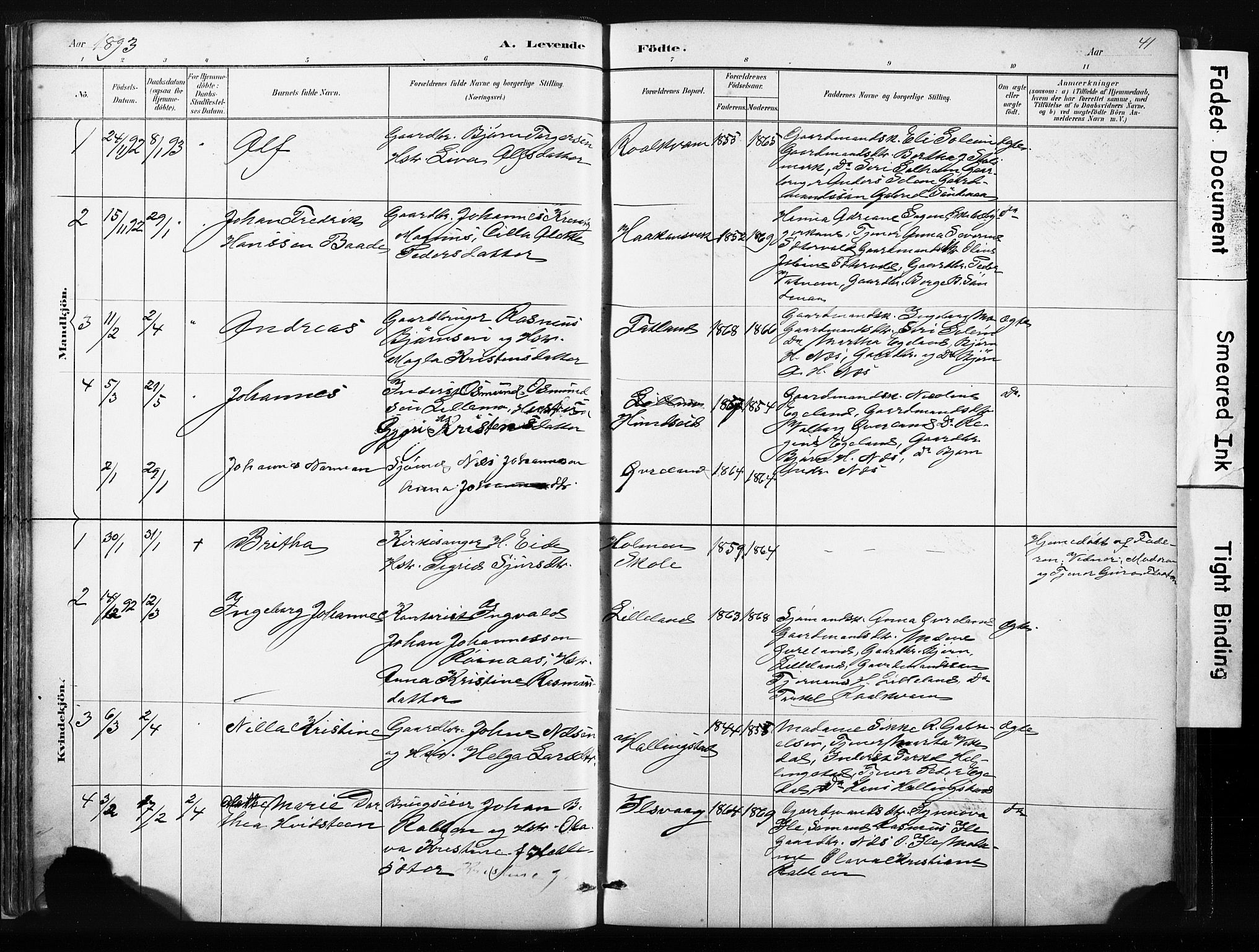 Vikedal sokneprestkontor, AV/SAST-A-101840/01/IV: Parish register (official) no. A 10, 1884-1907, p. 41