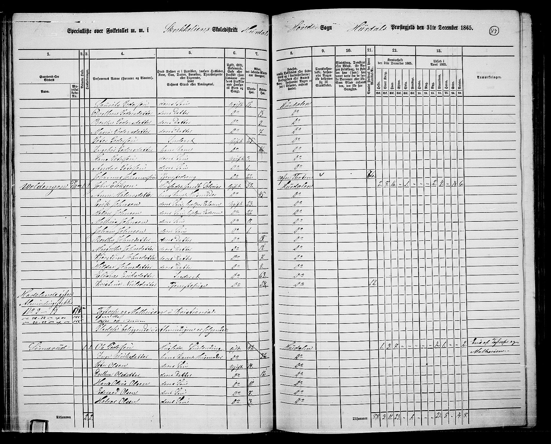 RA, 1865 census for Hurdal, 1865, p. 41