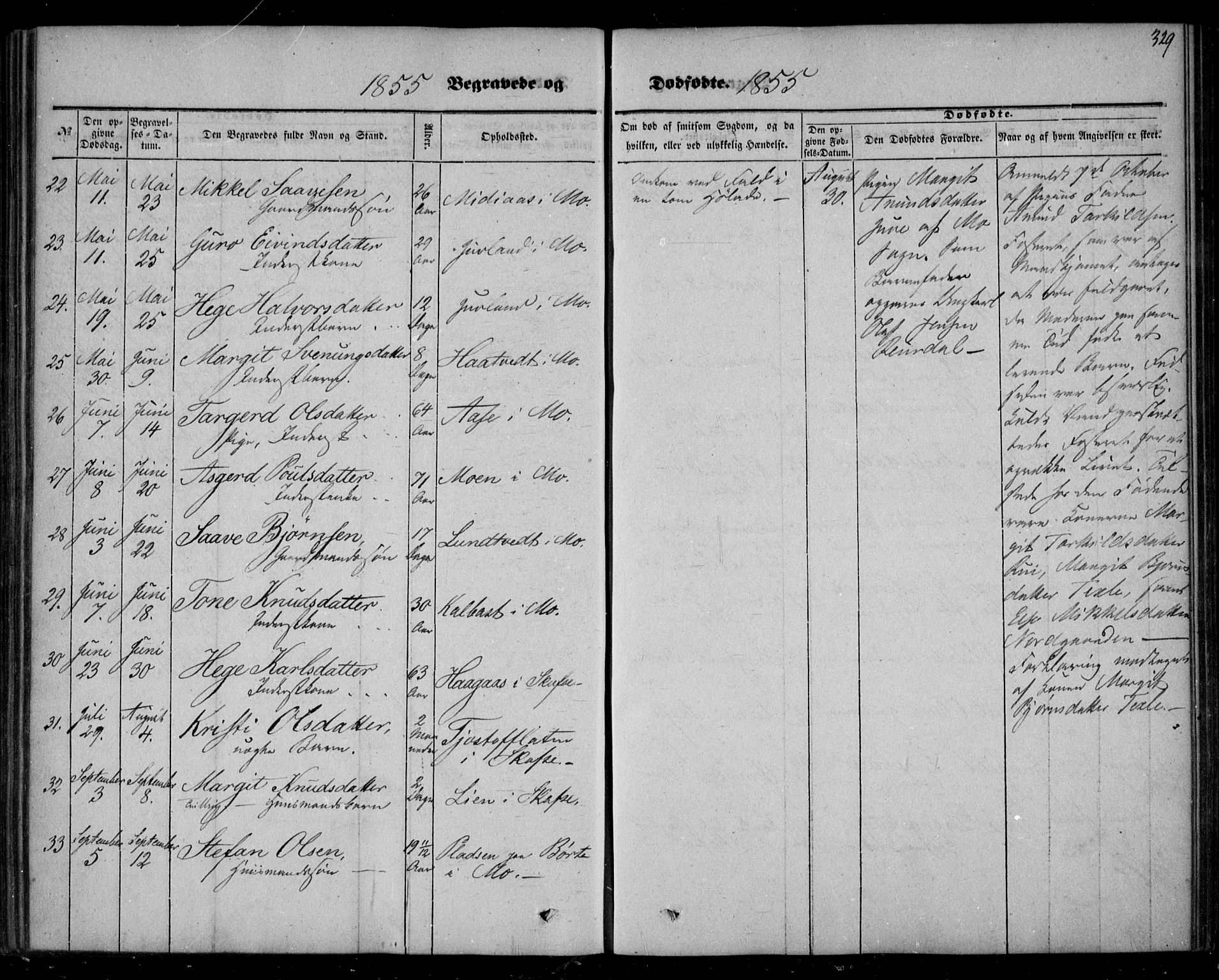 Mo kirkebøker, AV/SAKO-A-286/F/Fa/L0005: Parish register (official) no. I 5, 1844-1864, p. 329