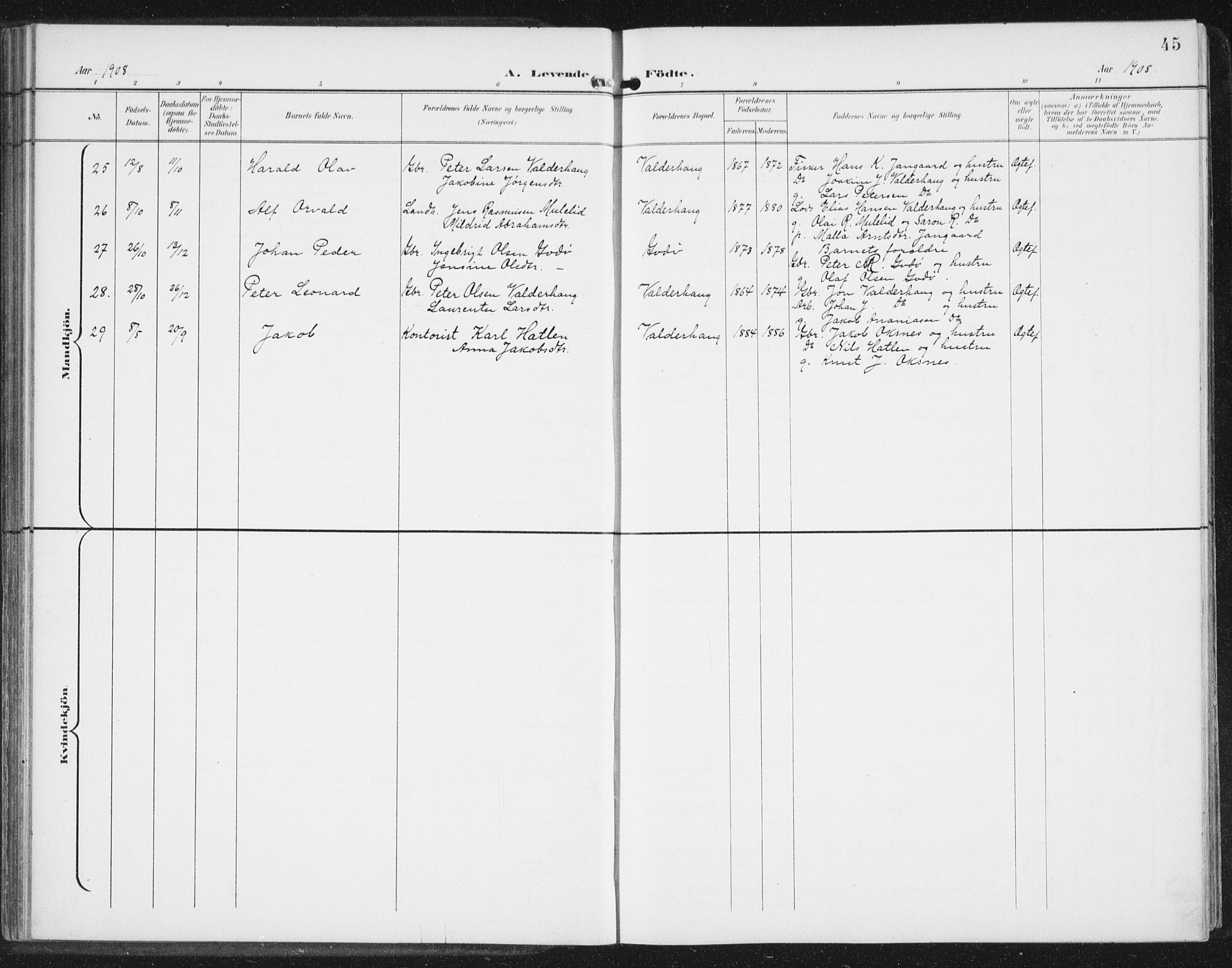 Ministerialprotokoller, klokkerbøker og fødselsregistre - Møre og Romsdal, AV/SAT-A-1454/534/L0489: Parish register (copy) no. 534C01, 1899-1941, p. 45