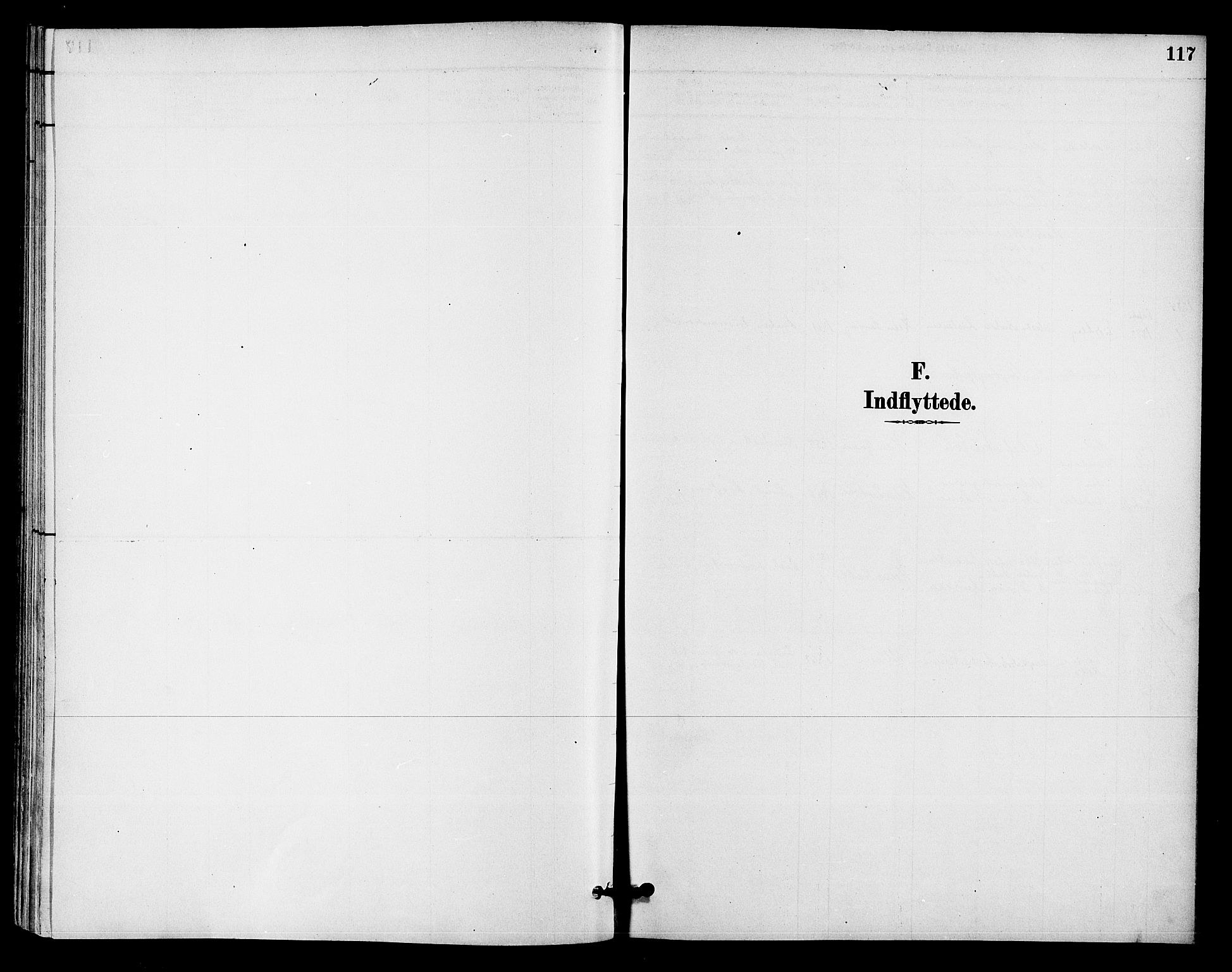Ådal kirkebøker, SAKO/A-248/F/Fb/L0001: Parish register (official) no. II 1, 1884-1897, p. 117