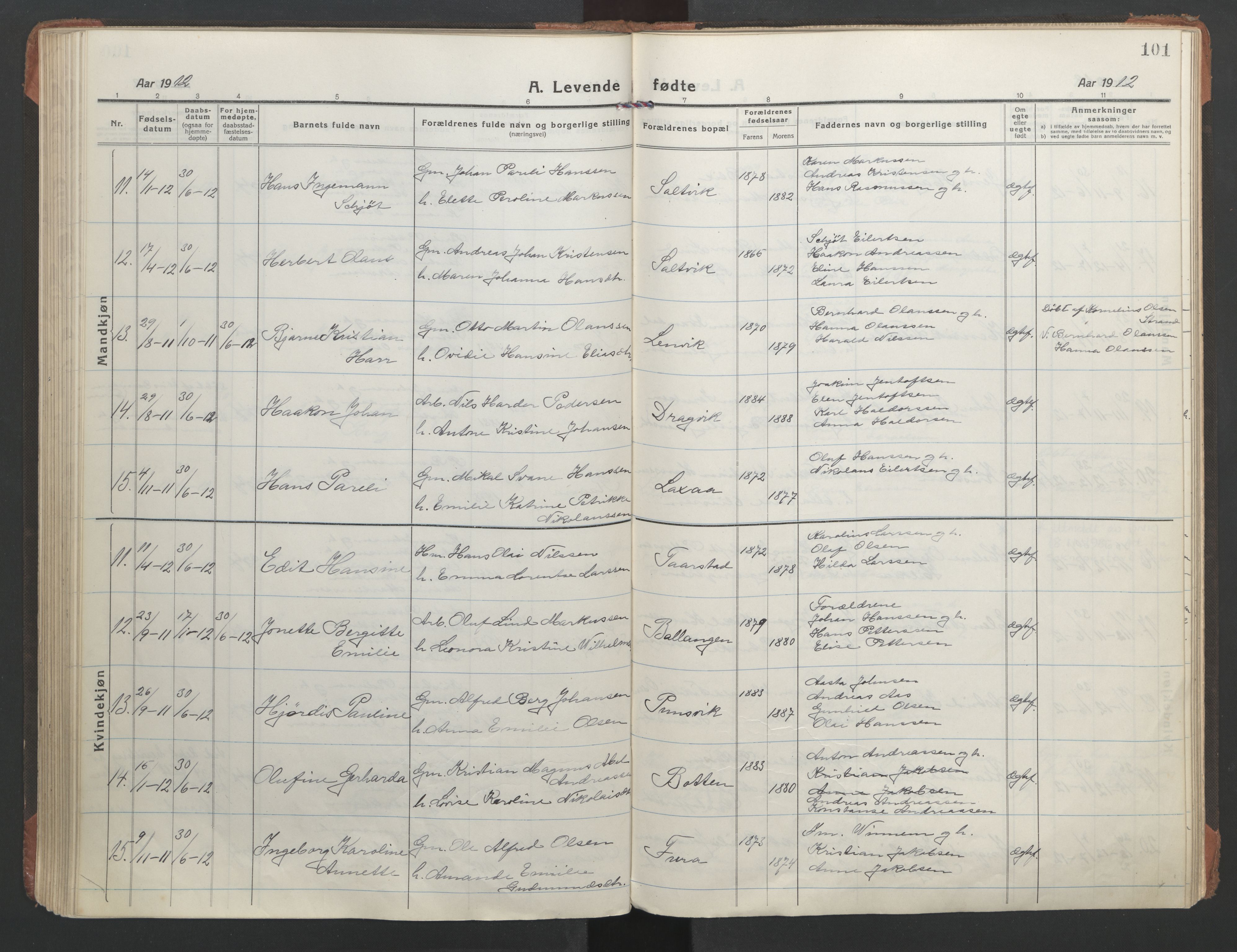 Ministerialprotokoller, klokkerbøker og fødselsregistre - Nordland, AV/SAT-A-1459/863/L0900: Parish register (official) no. 863A12, 1906-1915, p. 101