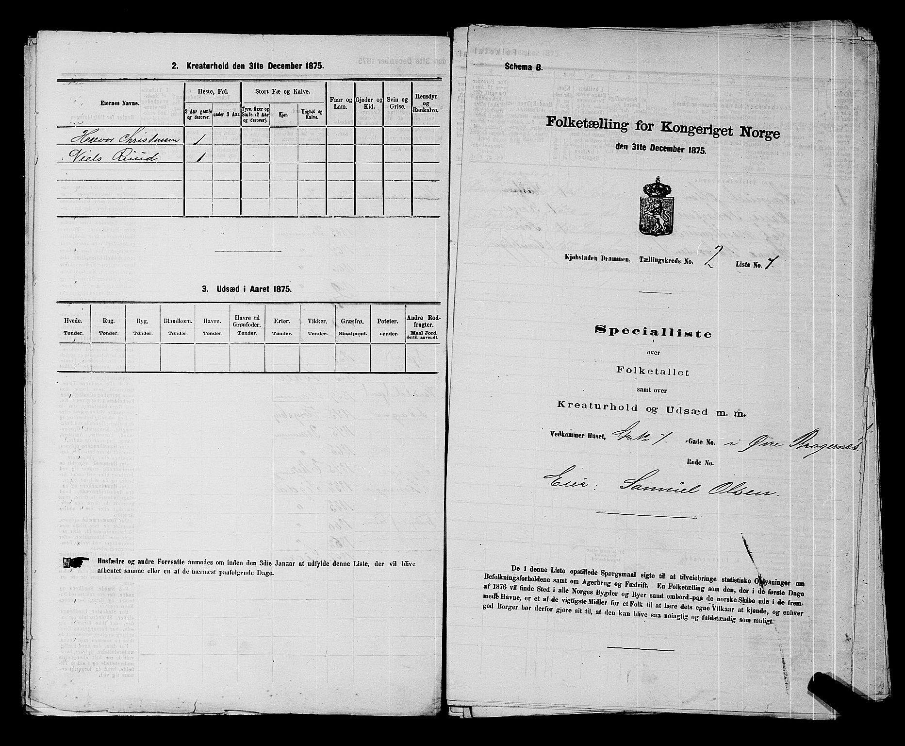 SAKO, 1875 census for 0602 Drammen, 1875, p. 193