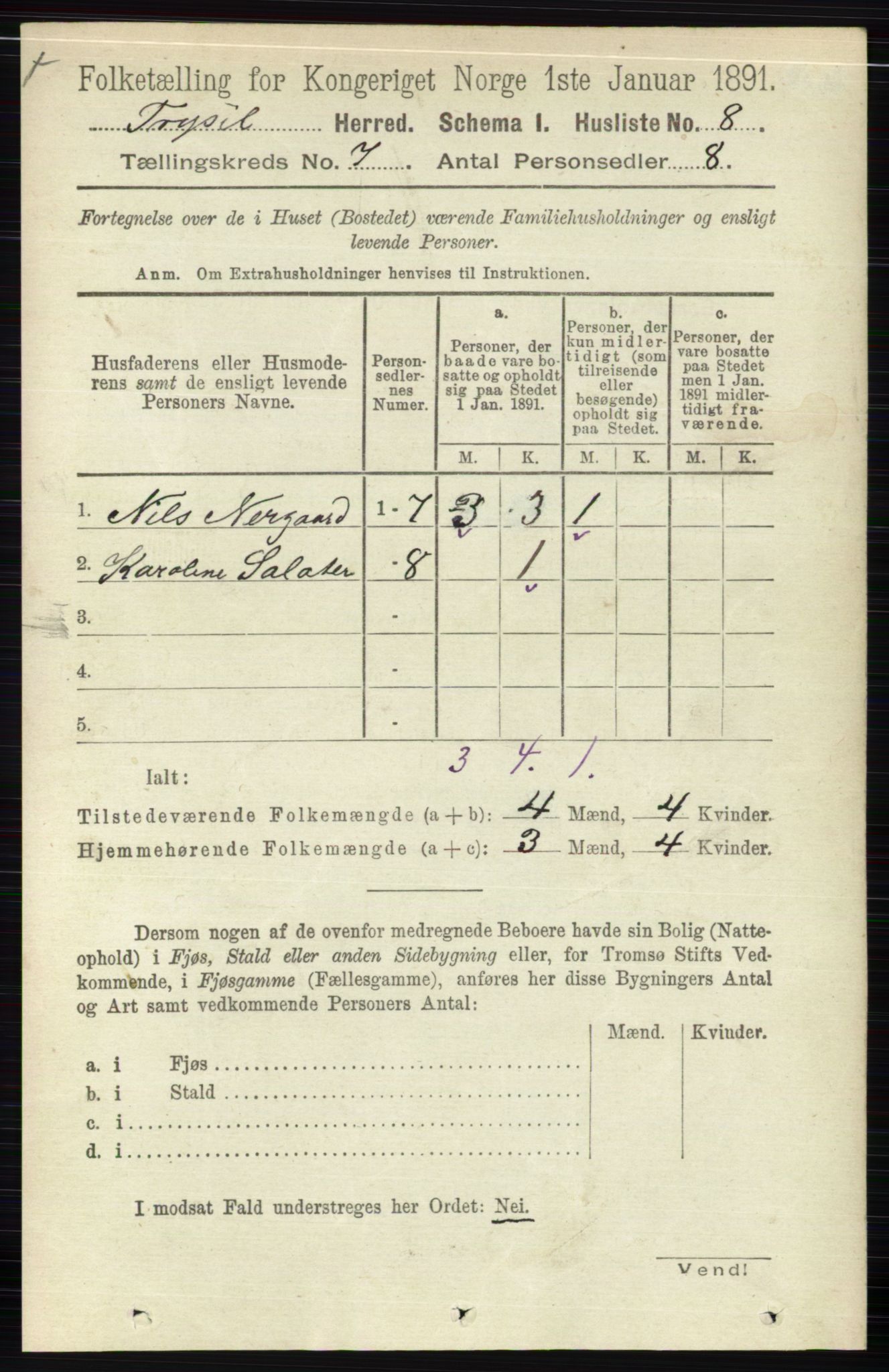 RA, 1891 census for 0428 Trysil, 1891, p. 3079