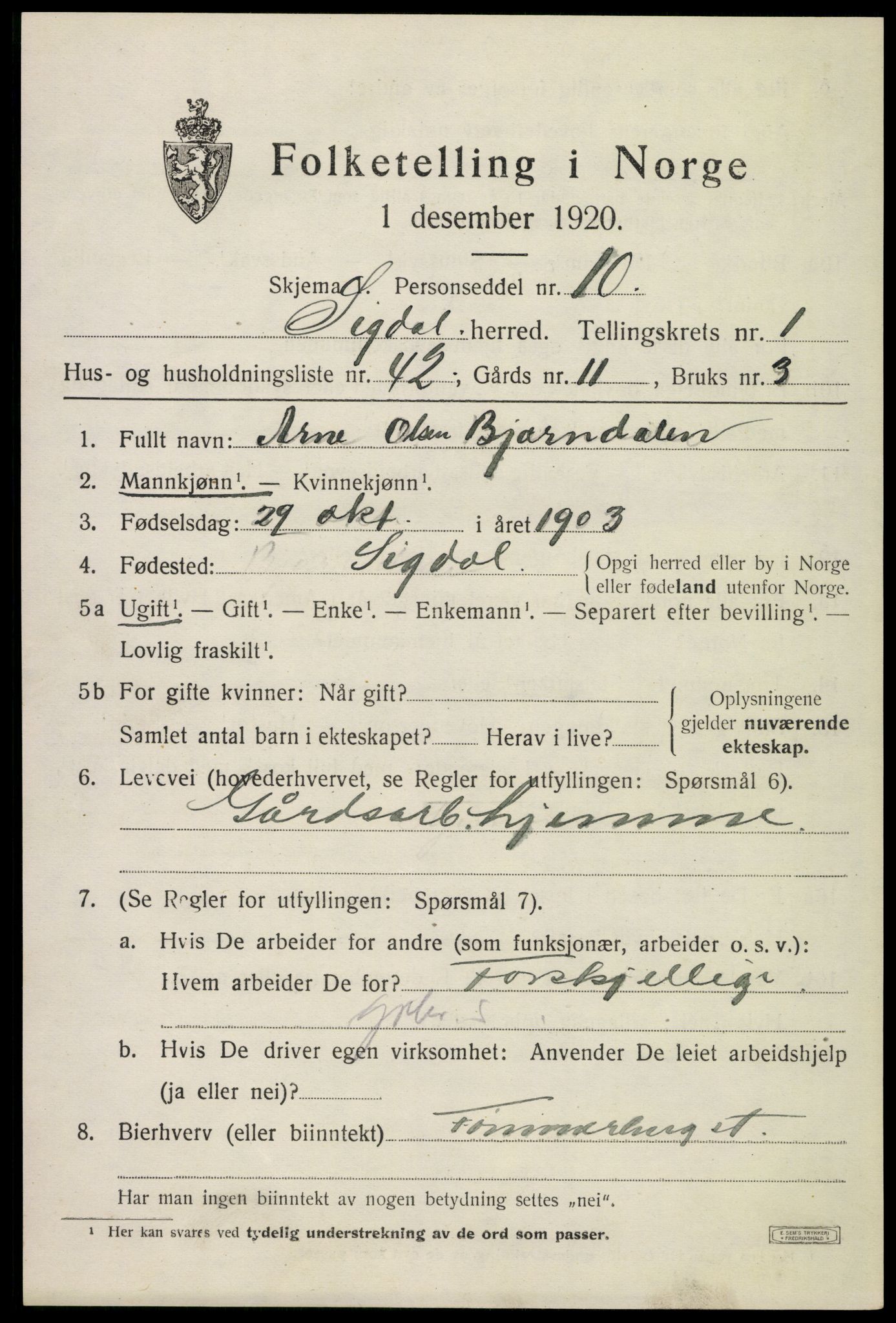 SAKO, 1920 census for Sigdal, 1920, p. 1920