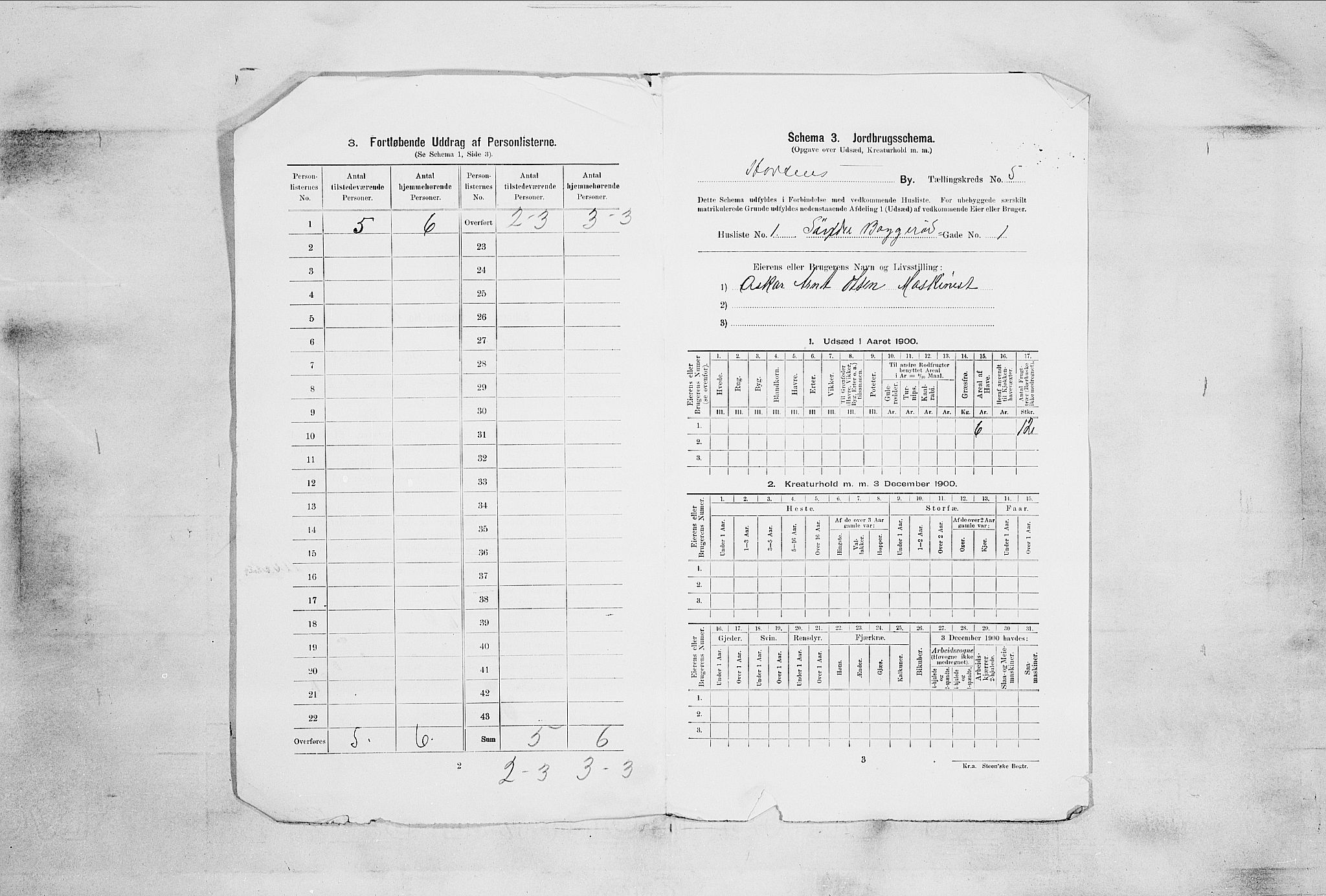 RA, 1900 census for Horten, 1900, p. 3741