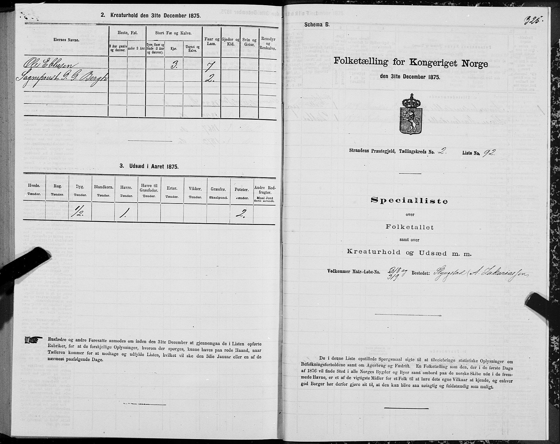 SAT, 1875 census for 1525P Stranda, 1875, p. 1325