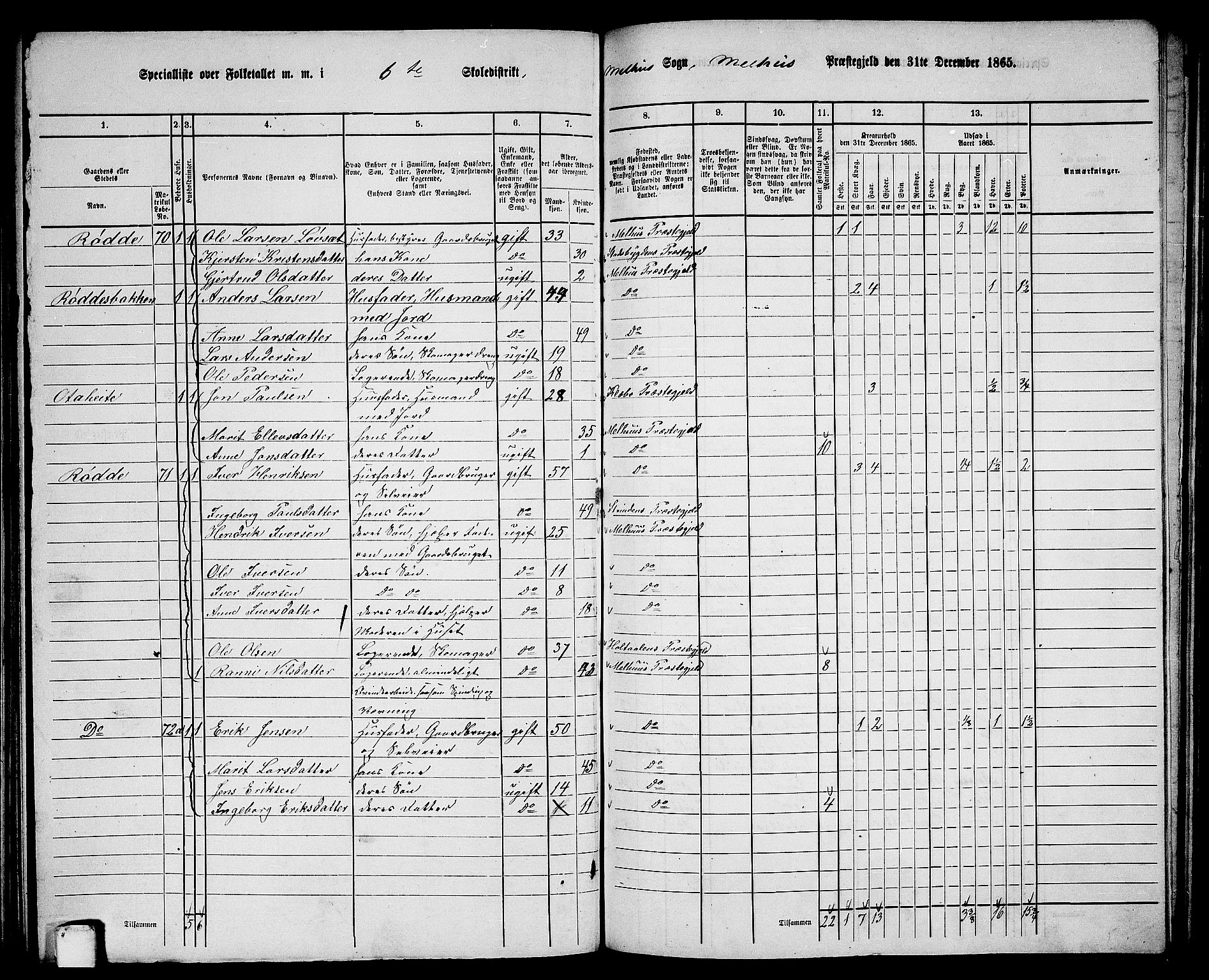 RA, 1865 census for Melhus, 1865, p. 123