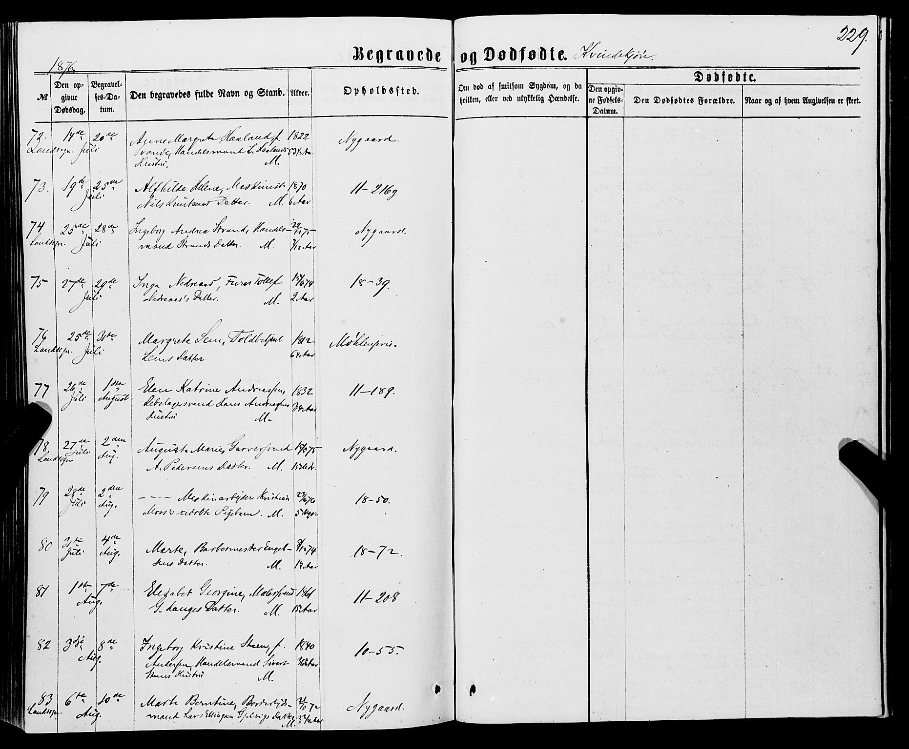 Domkirken sokneprestembete, AV/SAB-A-74801/H/Haa/L0042: Parish register (official) no. E 3, 1863-1876, p. 229