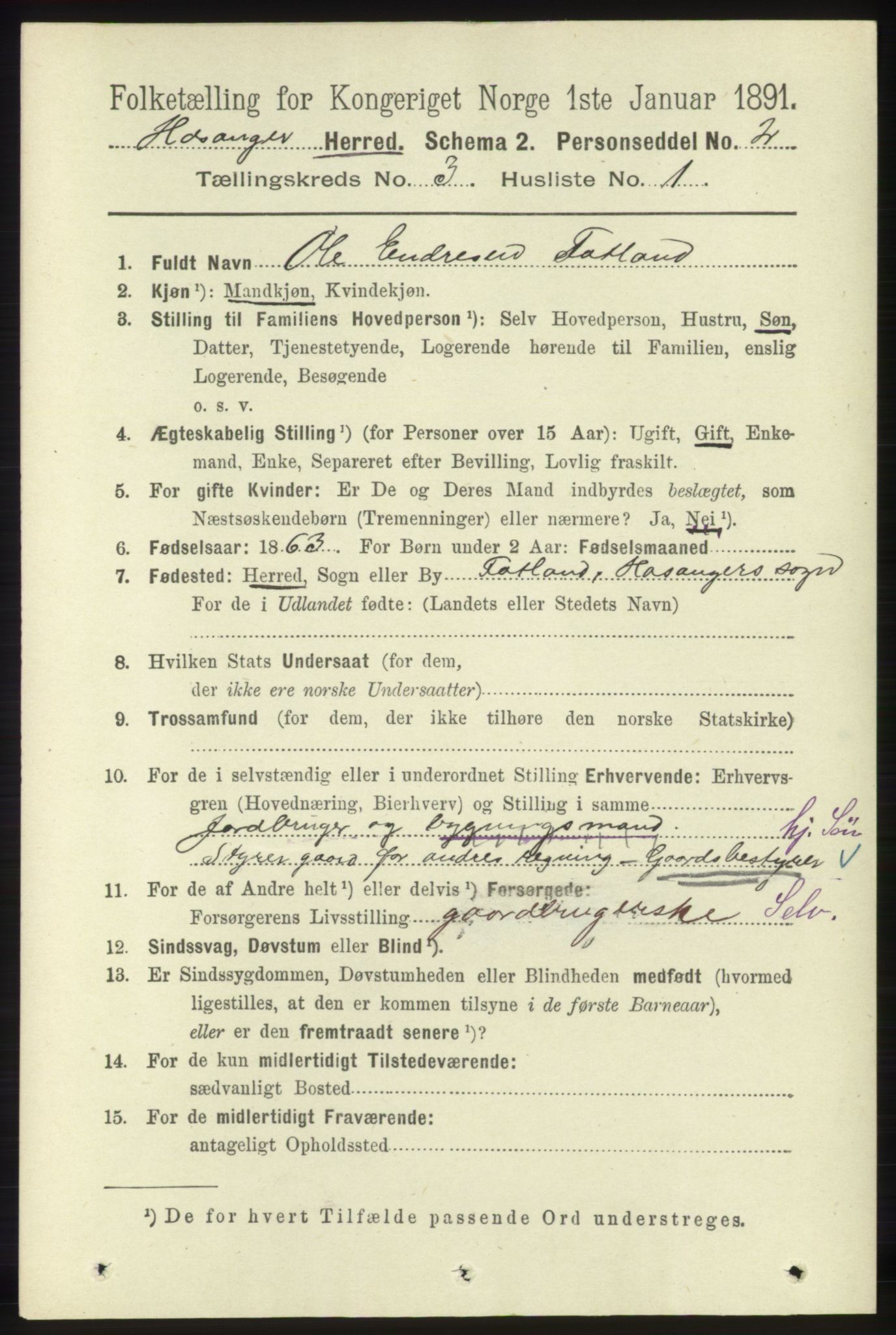 RA, 1891 census for 1253 Hosanger, 1891, p. 1019