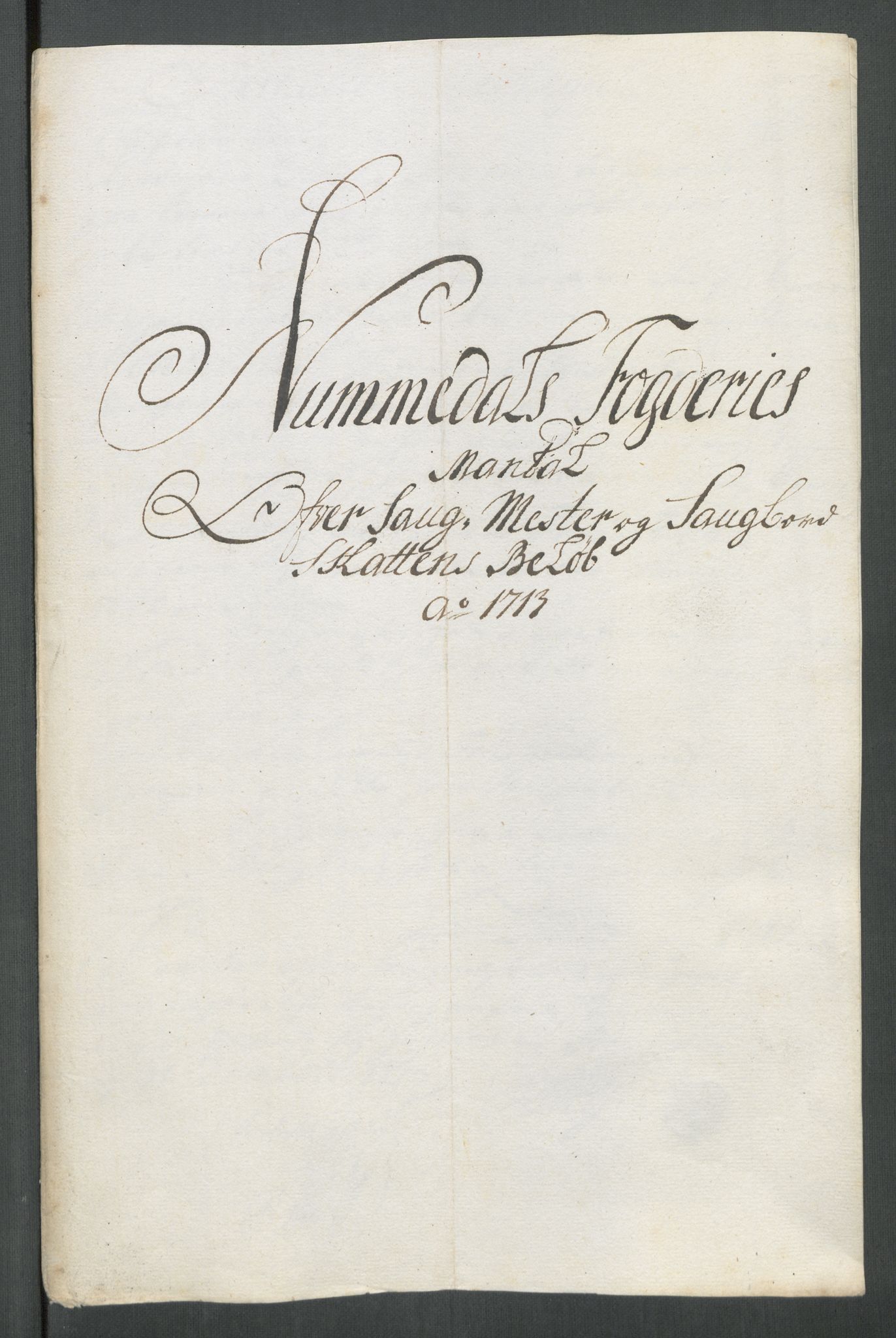 Rentekammeret inntil 1814, Reviderte regnskaper, Fogderegnskap, RA/EA-4092/R64/L4434: Fogderegnskap Namdal, 1713, p. 117