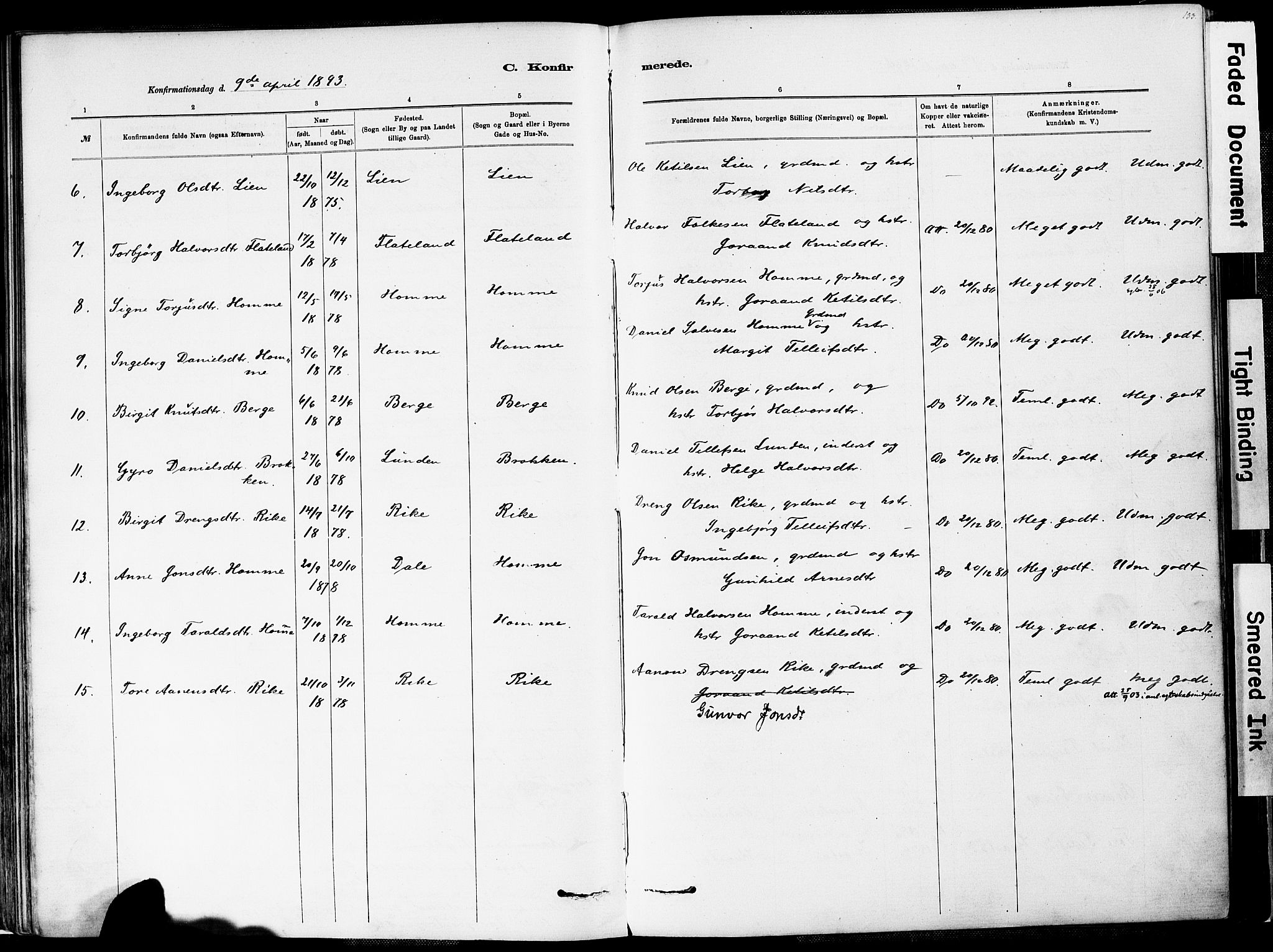 Valle sokneprestkontor, SAK/1111-0044/F/Fa/Fac/L0009: Parish register (official) no. A 9, 1882-1913, p. 133