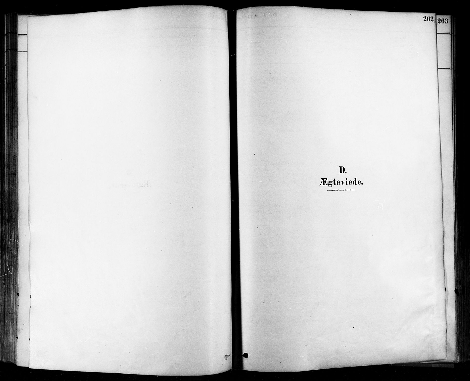 Rygge prestekontor Kirkebøker, SAO/A-10084b/F/Fa/L0007: Parish register (official) no. 7, 1878-1904, p. 262
