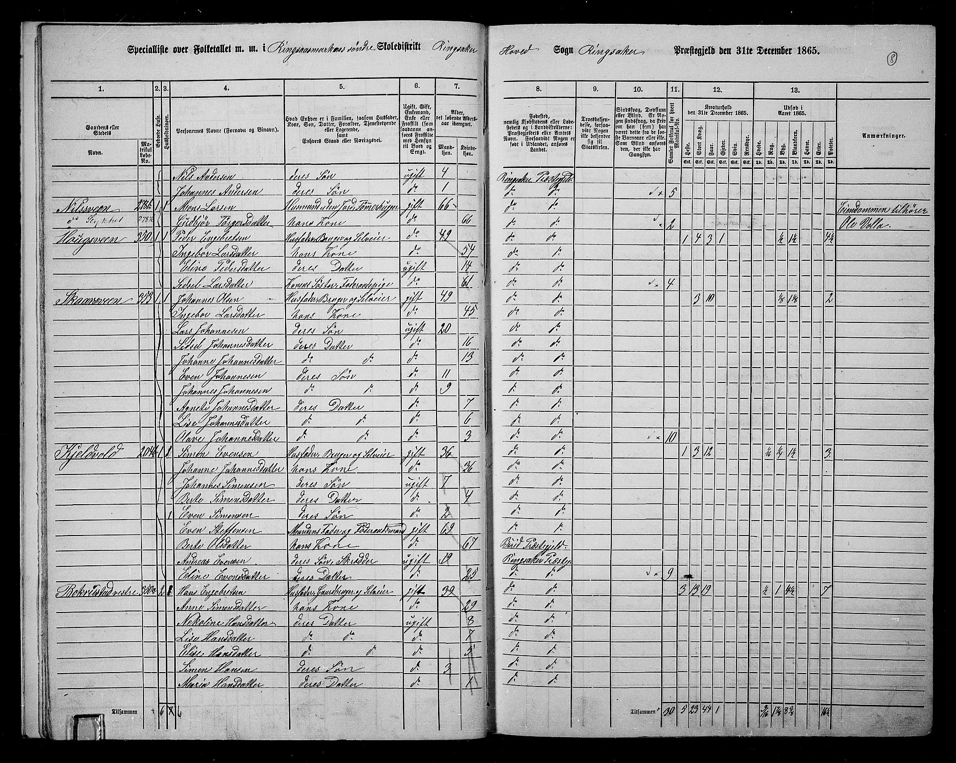 RA, 1865 census for Ringsaker, 1865, p. 272