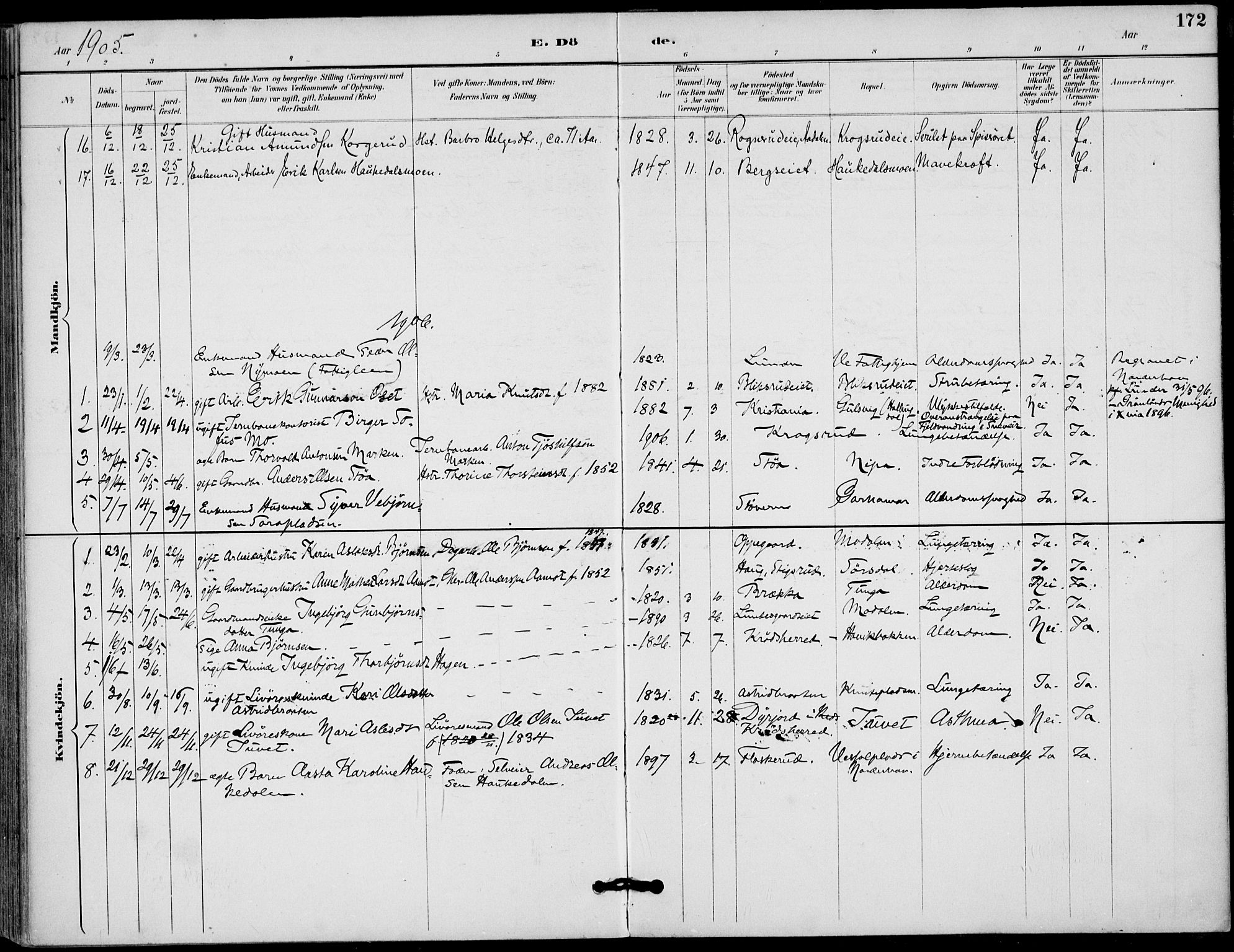 Lunder kirkebøker, SAKO/A-629/F/Fa/L0001: Parish register (official) no. I 1, 1885-1912, p. 172