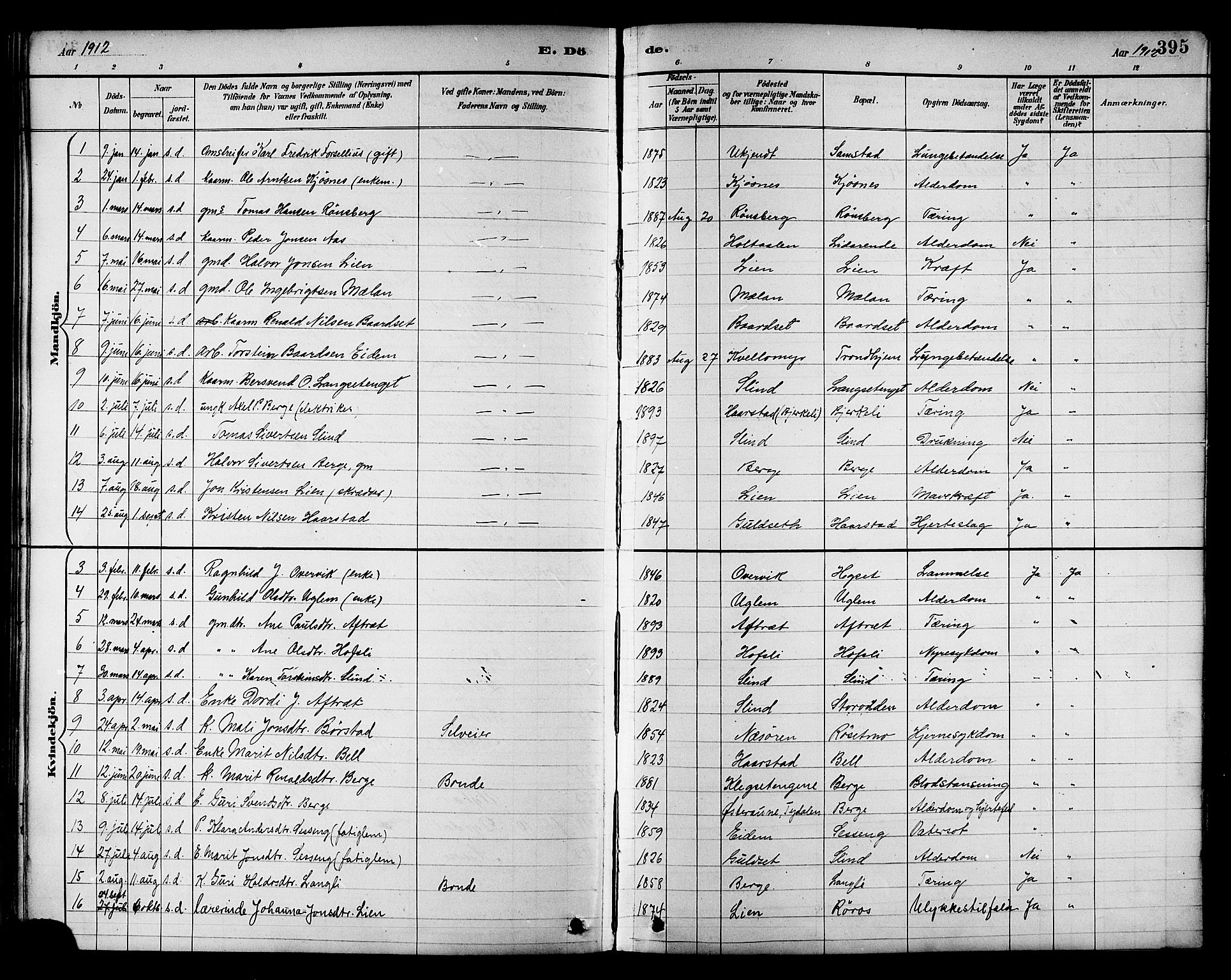 Ministerialprotokoller, klokkerbøker og fødselsregistre - Sør-Trøndelag, SAT/A-1456/695/L1157: Parish register (copy) no. 695C08, 1889-1913, p. 395