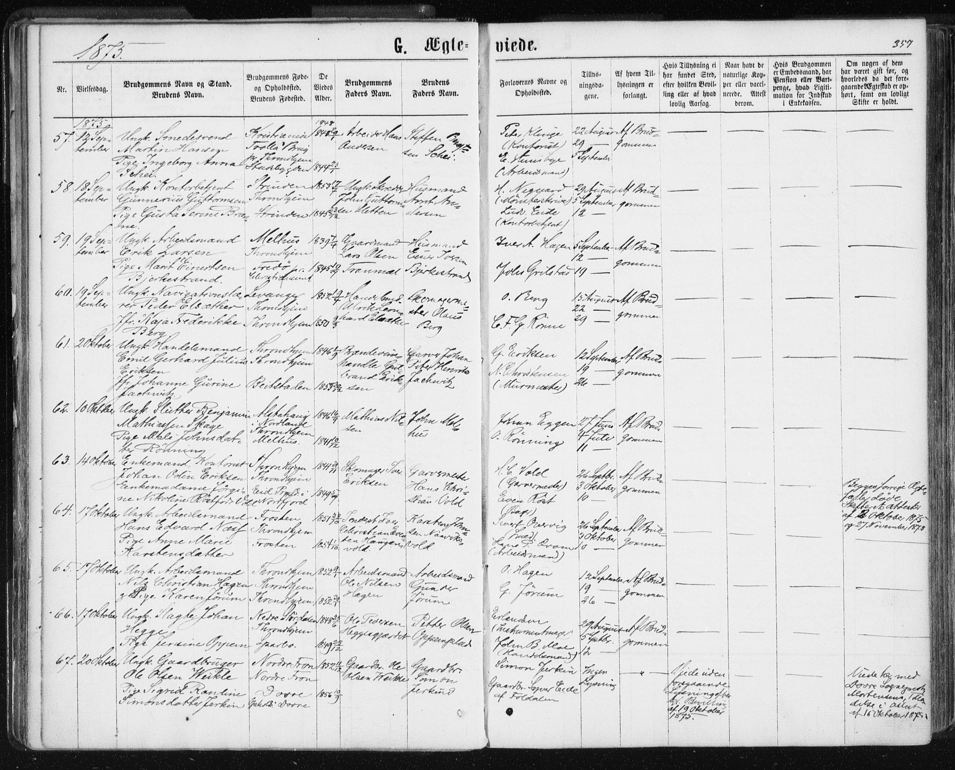 Ministerialprotokoller, klokkerbøker og fødselsregistre - Sør-Trøndelag, SAT/A-1456/601/L0055: Parish register (official) no. 601A23, 1866-1877, p. 357