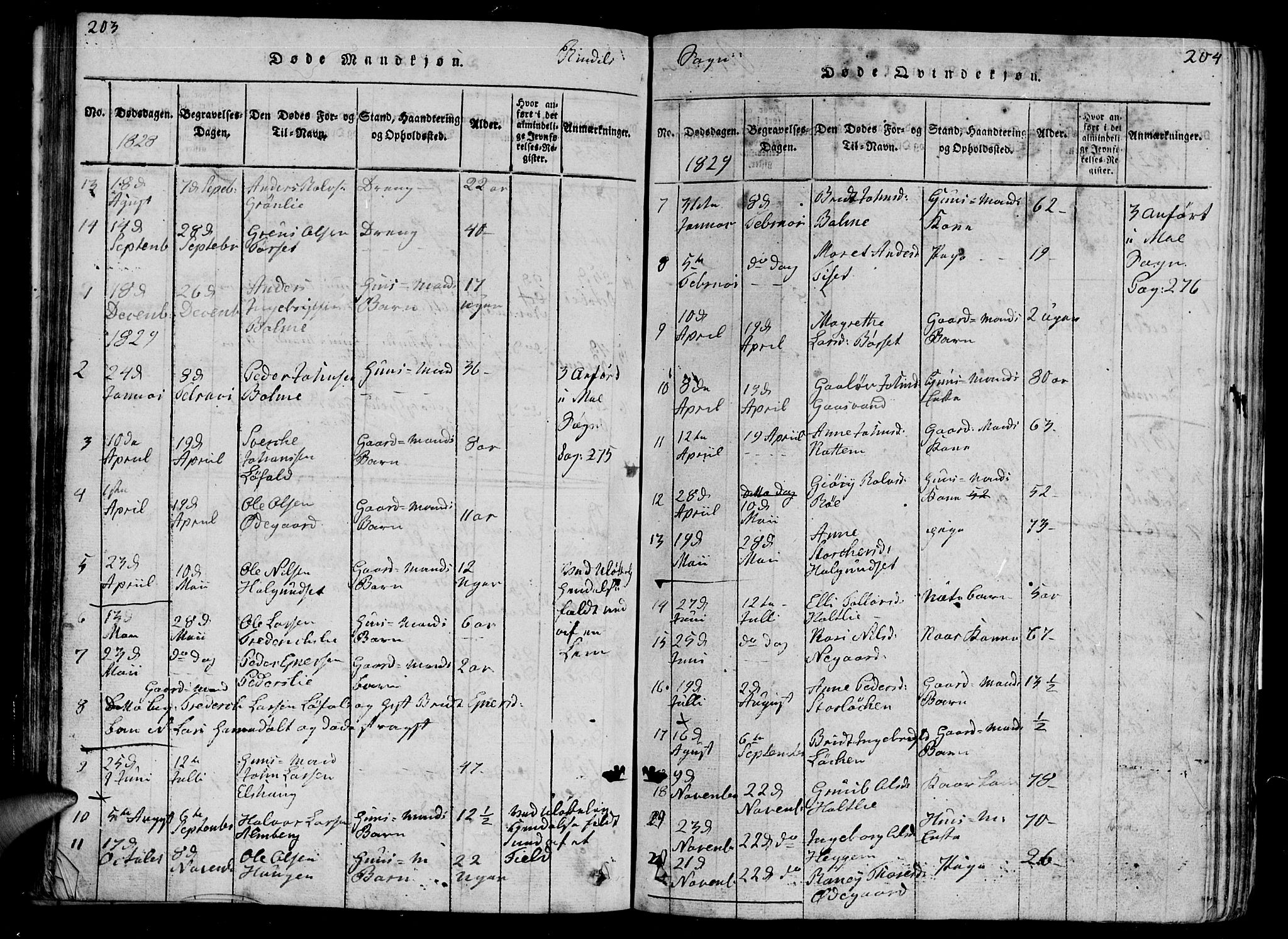 Ministerialprotokoller, klokkerbøker og fødselsregistre - Møre og Romsdal, AV/SAT-A-1454/595/L1050: Parish register (copy) no. 595C02, 1819-1834, p. 203-204