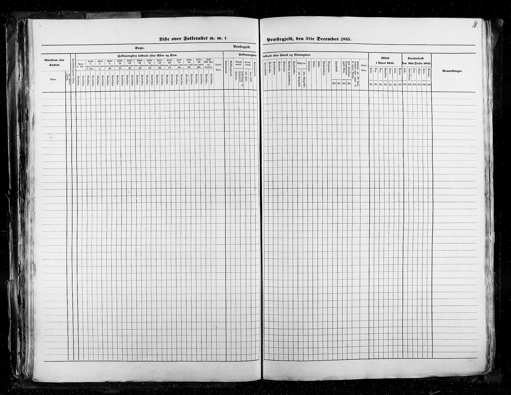 RA, Census 1845, vol. 3: Hedemarken amt og Kristians amt, 1845, p. 111