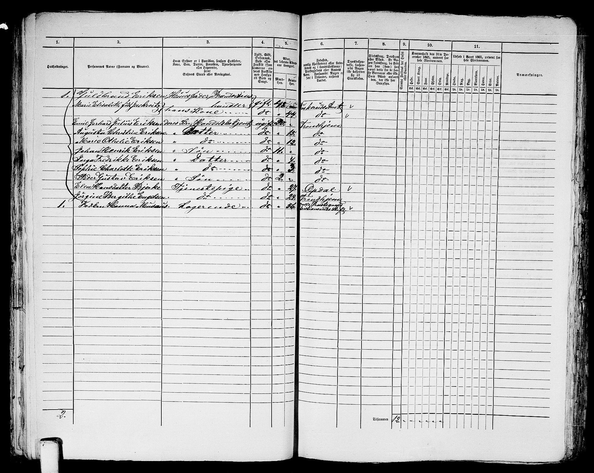 RA, 1865 census for Trondheim, 1865, p. 1233