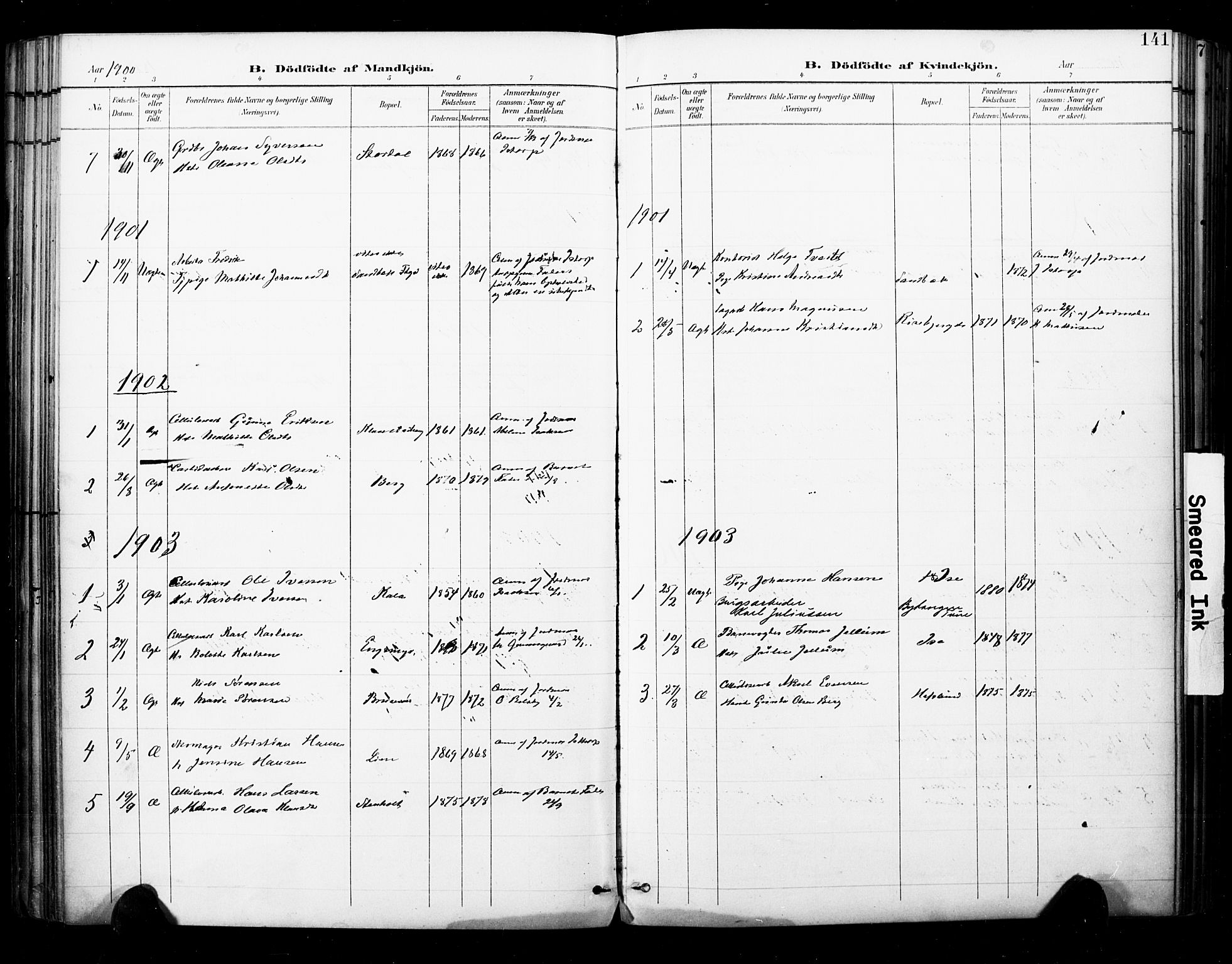 Skjeberg prestekontor Kirkebøker, SAO/A-10923/F/Fa/L0010: Parish register (official) no. I 10, 1898-1911, p. 141