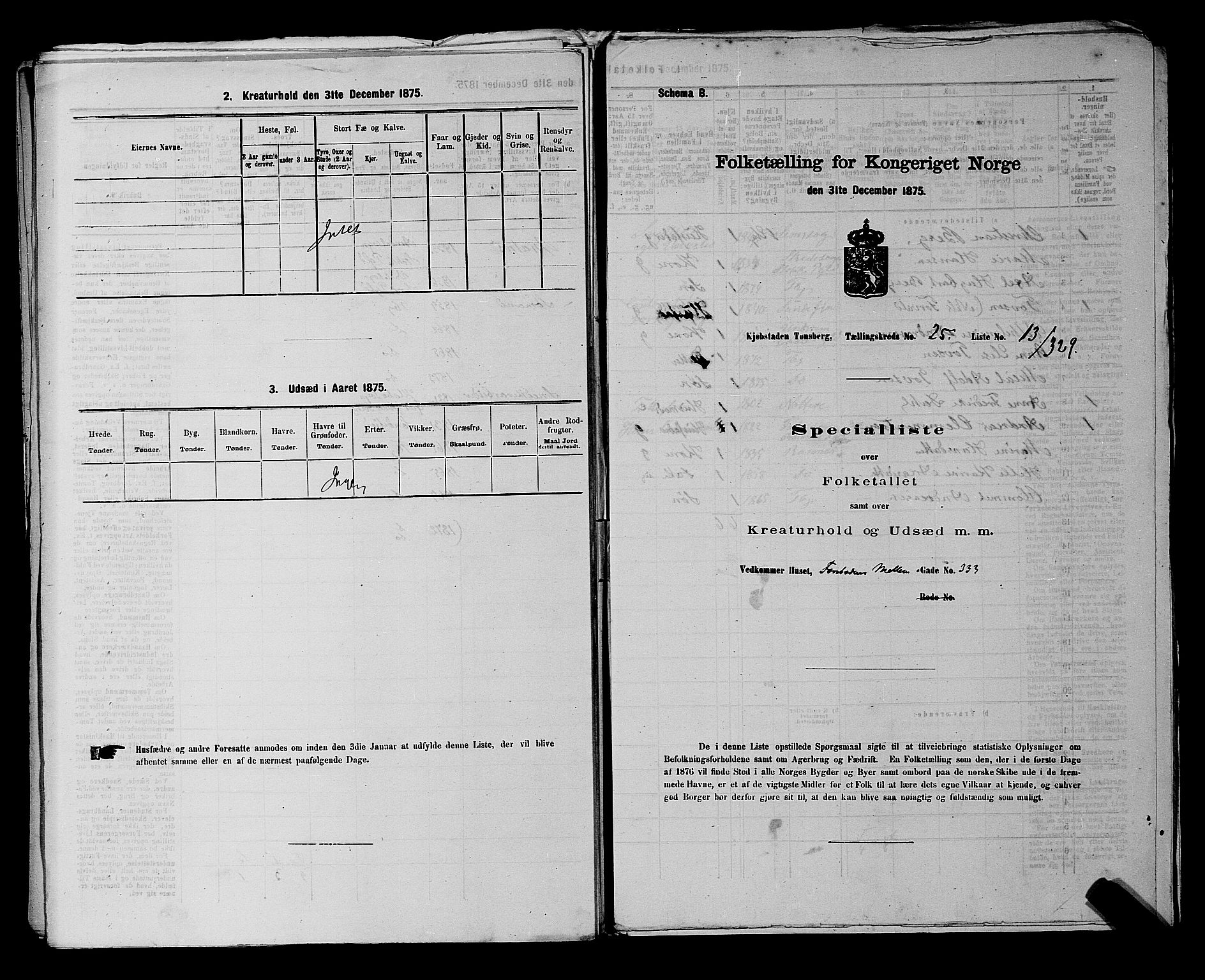 SAKO, 1875 census for 0705P Tønsberg, 1875, p. 800