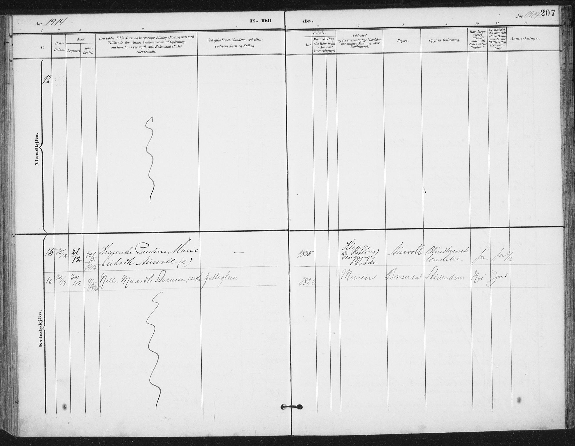 Ministerialprotokoller, klokkerbøker og fødselsregistre - Møre og Romsdal, AV/SAT-A-1454/503/L0038: Parish register (official) no. 503A06, 1901-1917, p. 207