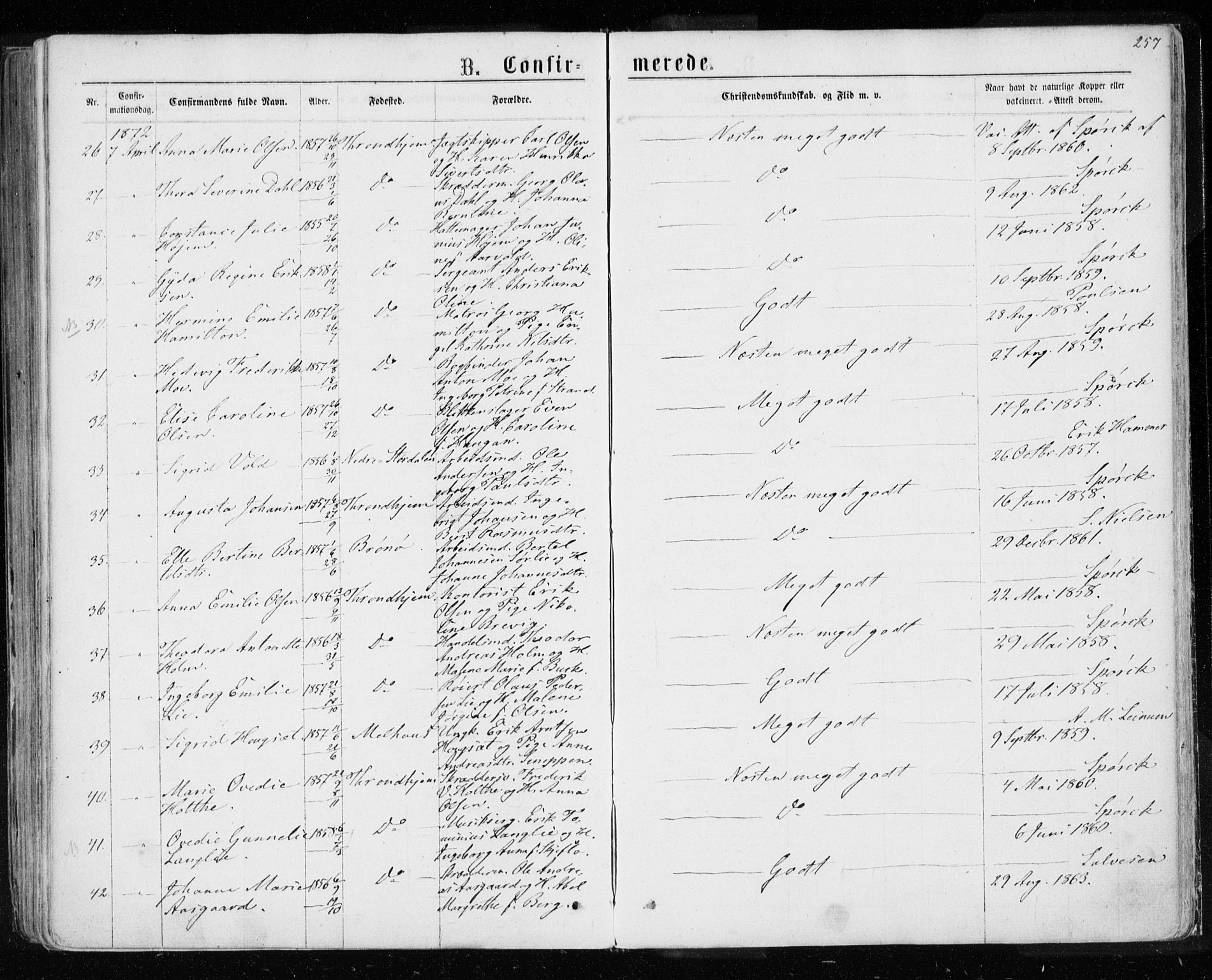 Ministerialprotokoller, klokkerbøker og fødselsregistre - Sør-Trøndelag, AV/SAT-A-1456/601/L0054: Parish register (official) no. 601A22, 1866-1877, p. 257