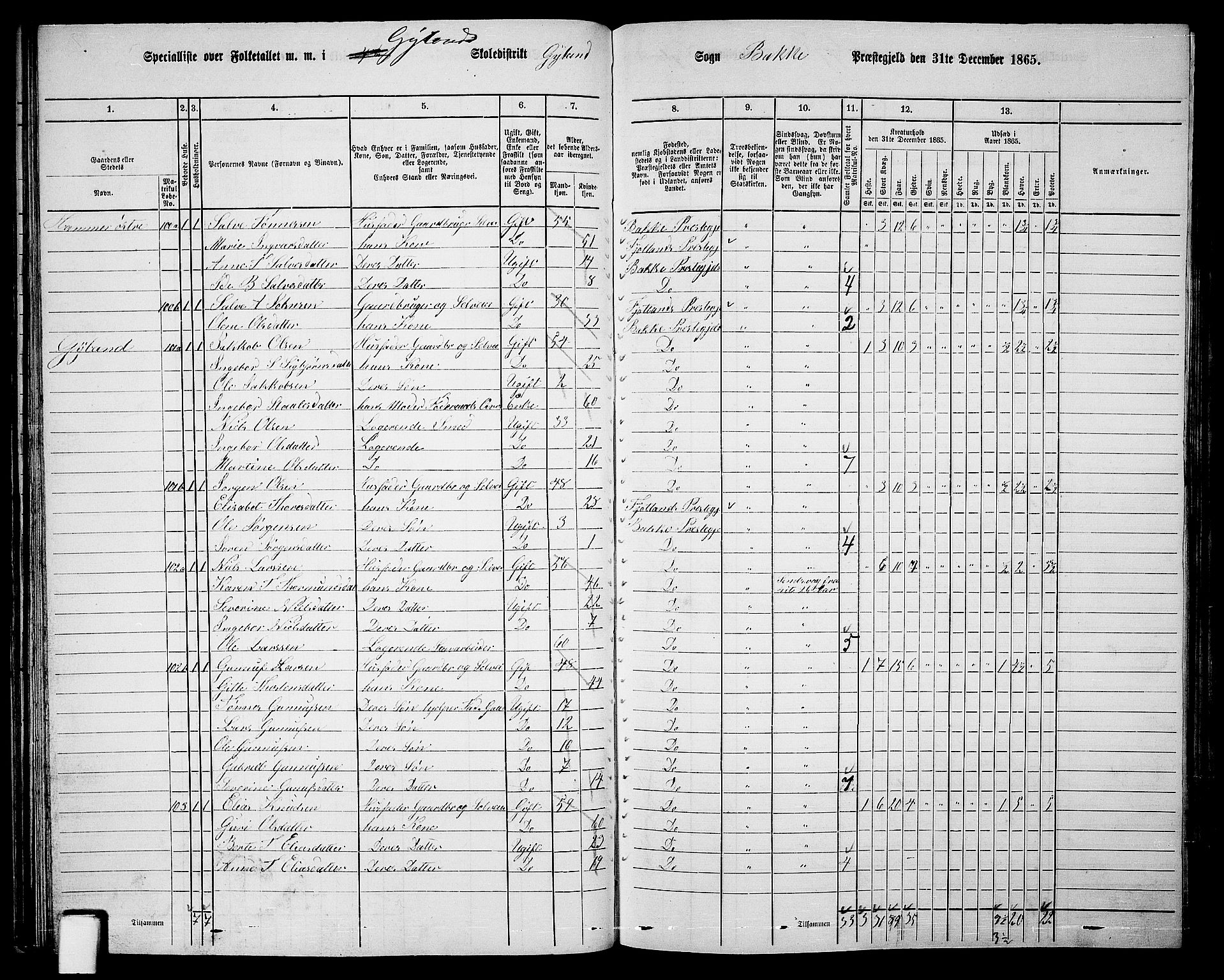 RA, 1865 census for Bakke, 1865, p. 43