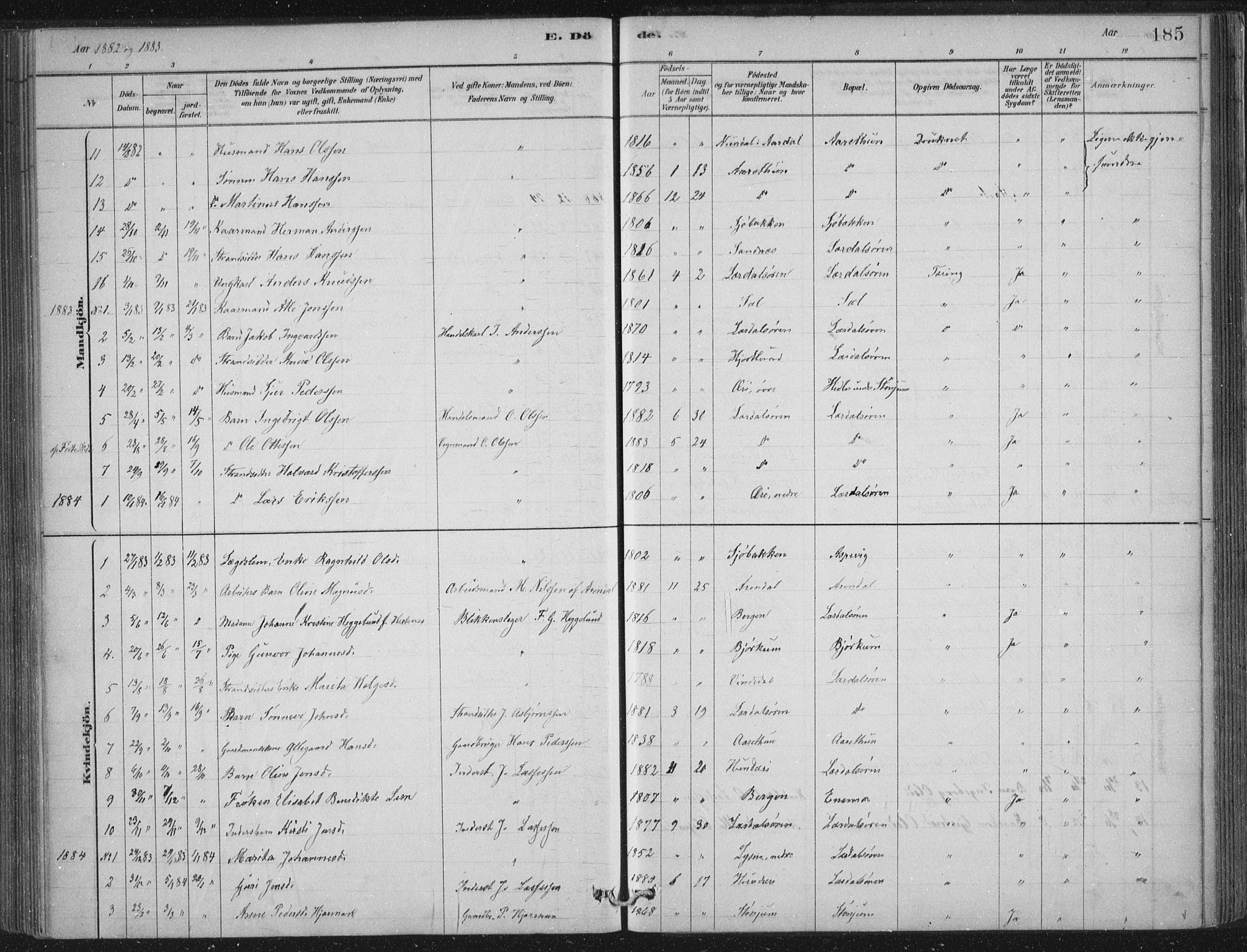 Lærdal sokneprestembete, SAB/A-81201: Parish register (official) no. D  1, 1878-1908, p. 185