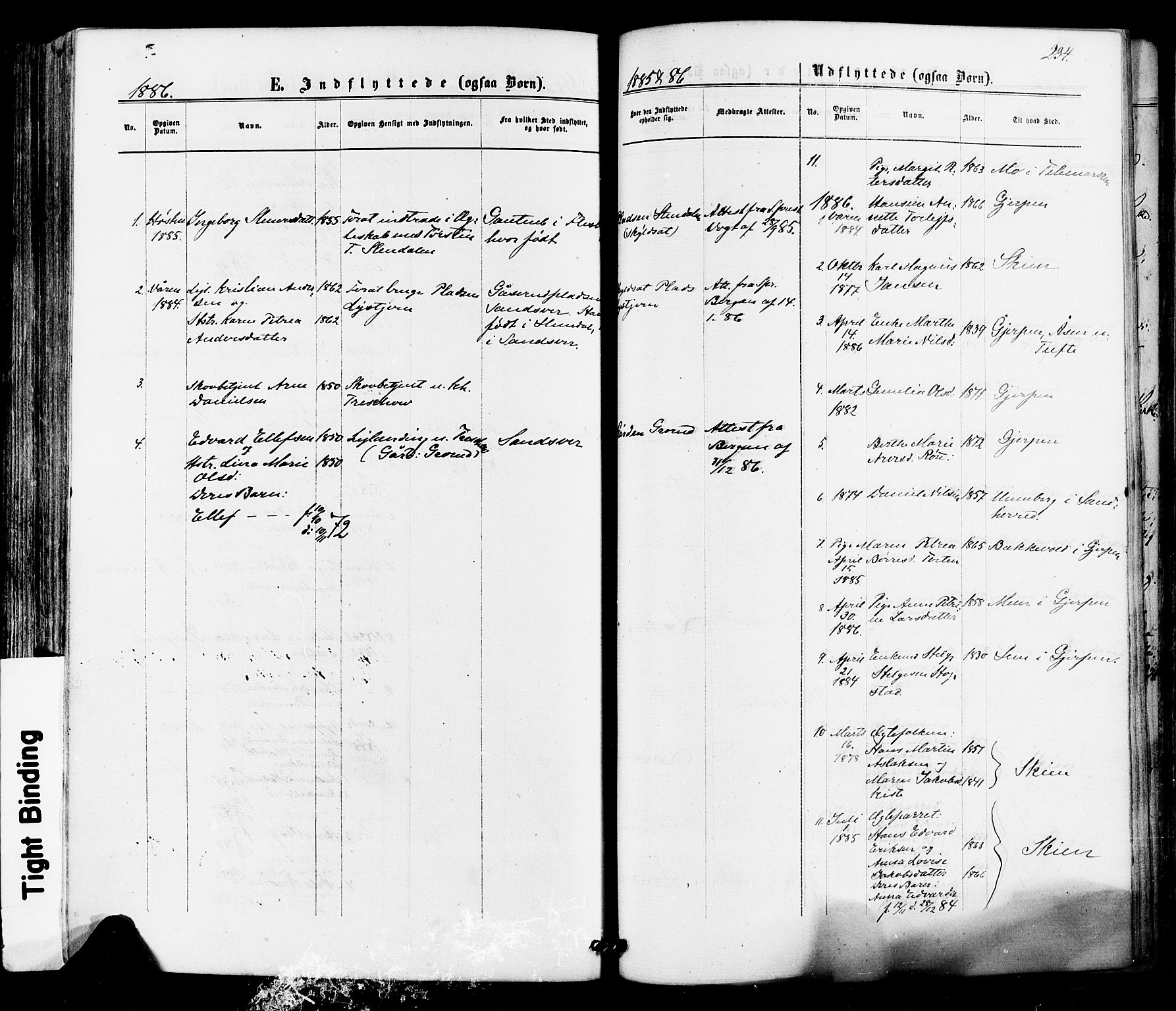 Siljan kirkebøker, AV/SAKO-A-300/F/Fa/L0002: Parish register (official) no. 2, 1870-1895, p. 234