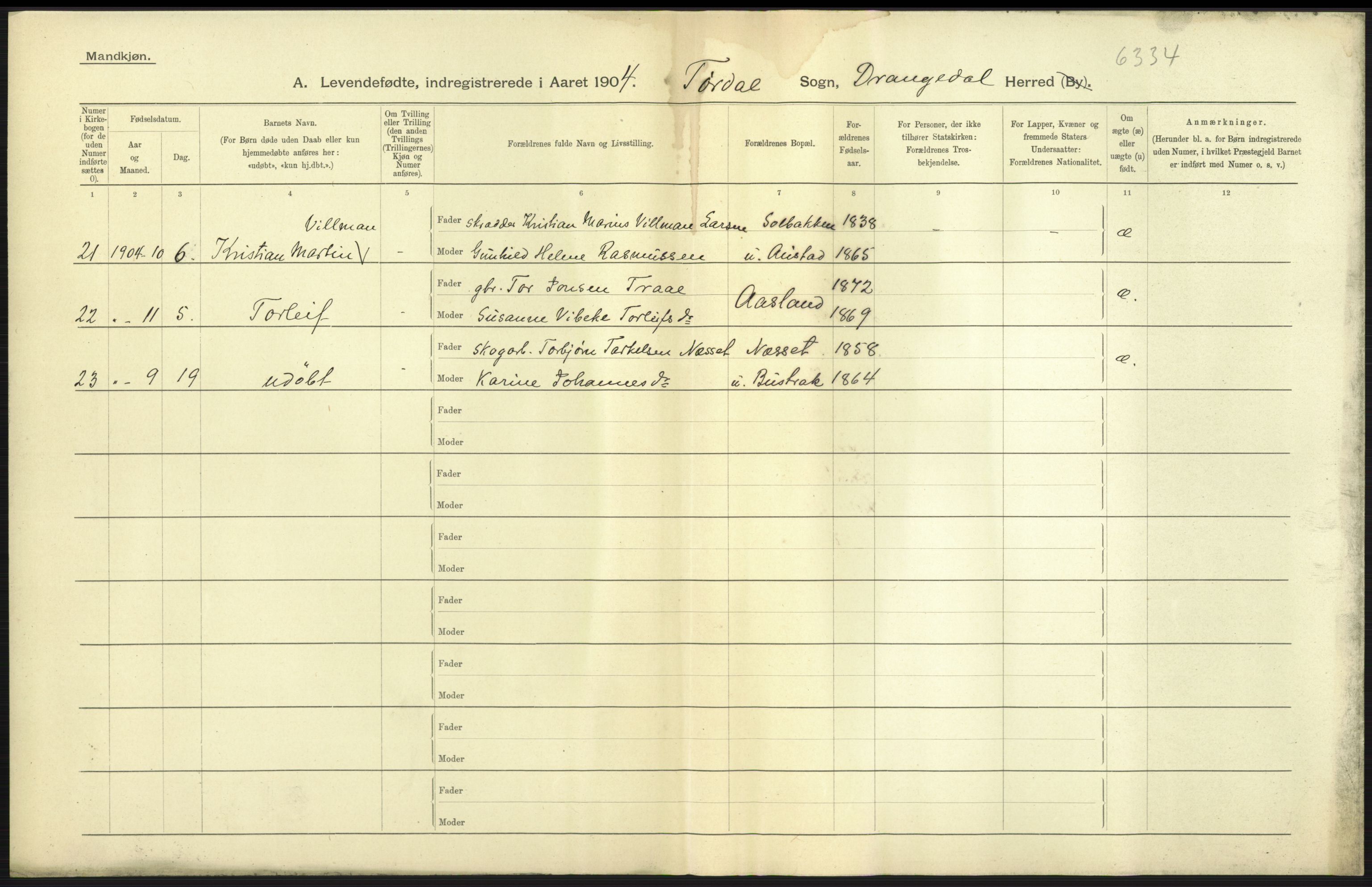 Statistisk sentralbyrå, Sosiodemografiske emner, Befolkning, AV/RA-S-2228/D/Df/Dfa/Dfab/L0009: Bratsberg amt: Fødte, gifte, døde, 1904, p. 13