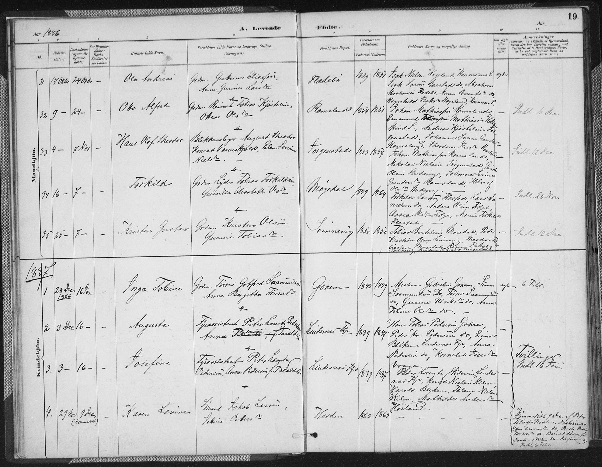 Sør-Audnedal sokneprestkontor, SAK/1111-0039/F/Fa/Faa/L0004: Parish register (official) no. A 4, 1884-1909, p. 19