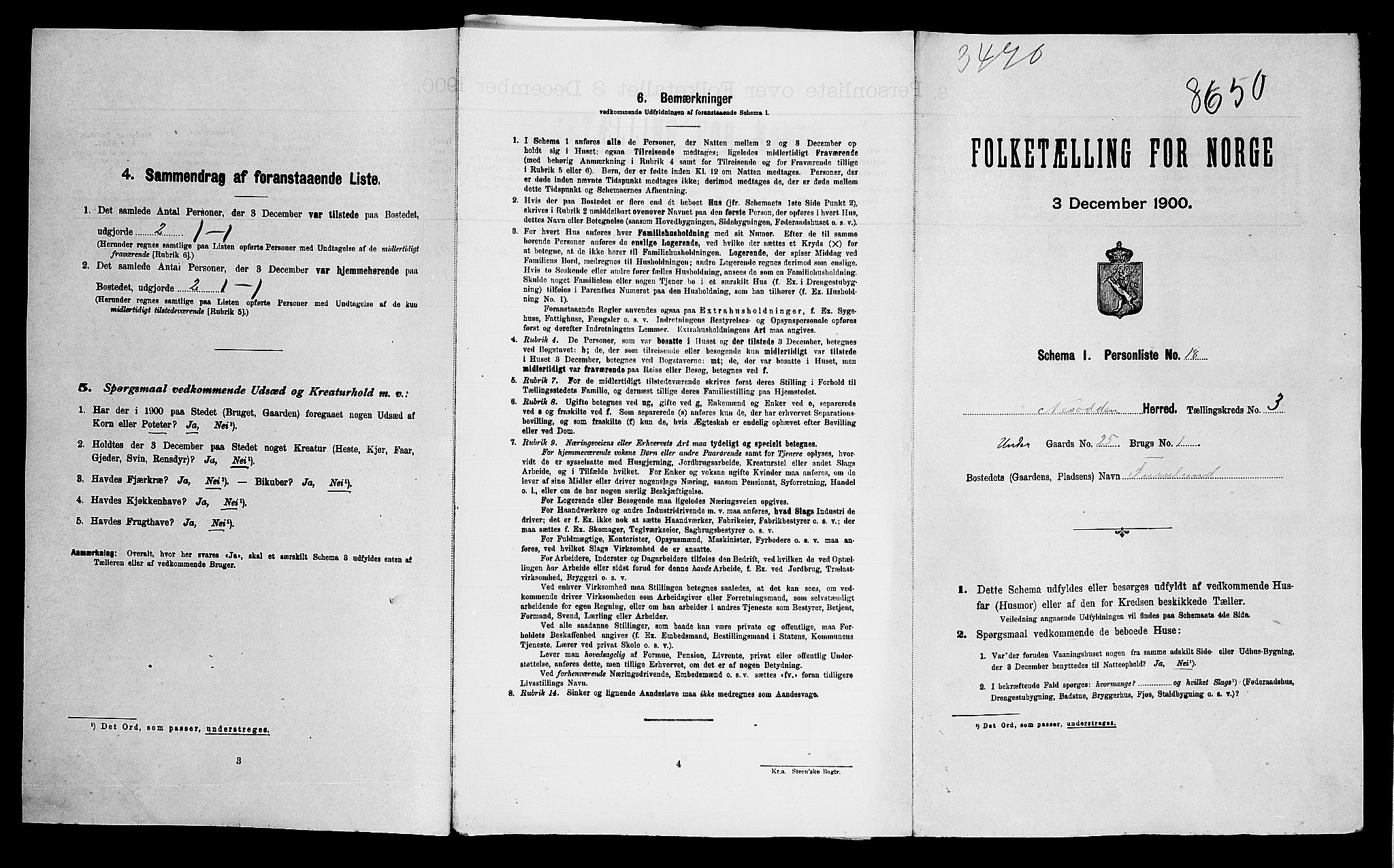 SAO, 1900 census for Nesodden, 1900