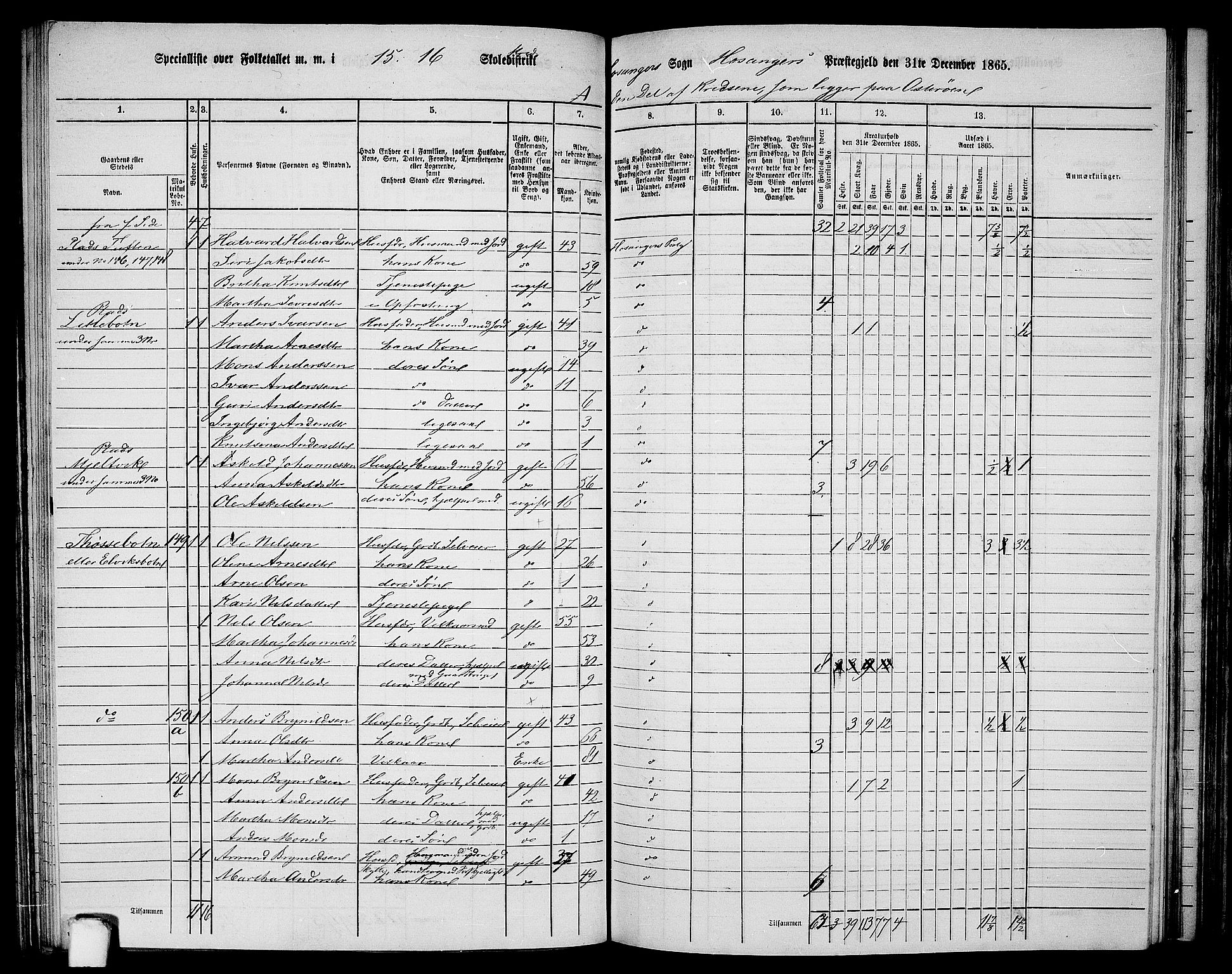 RA, 1865 census for Hosanger, 1865, p. 92