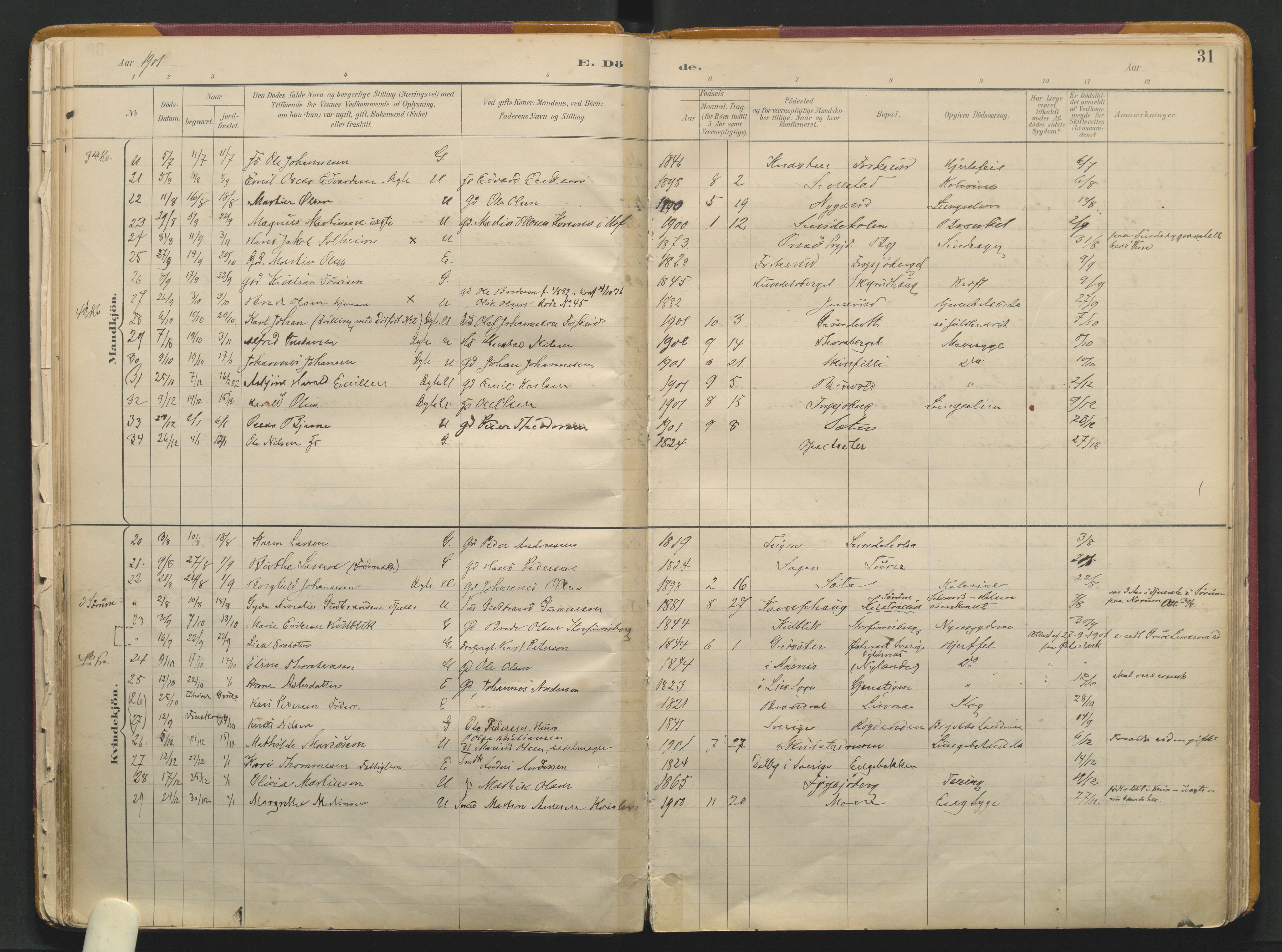 Grue prestekontor, SAH/PREST-036/H/Ha/Haa/L0017: Parish register (official) no. 17, 1892-1936, p. 31