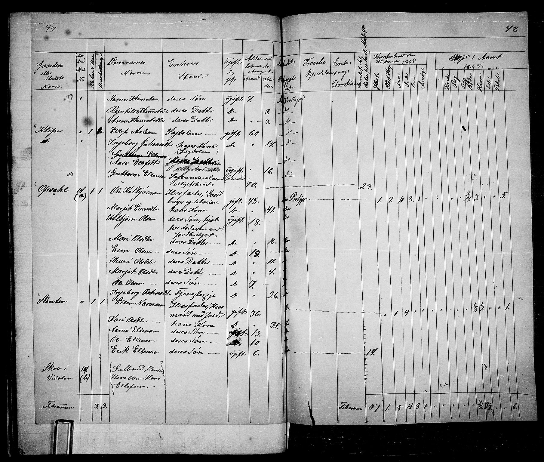 RA, 1865 census for Nes, 1865, p. 42