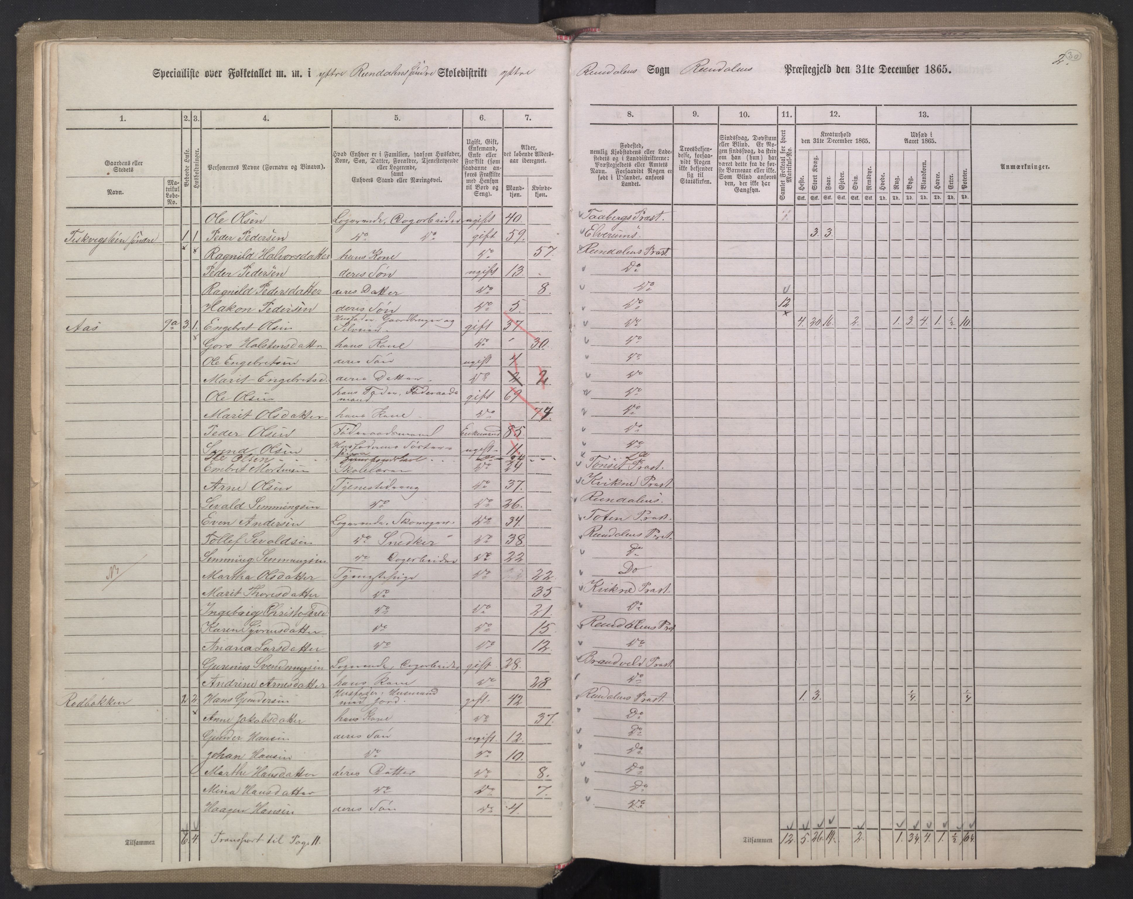 RA, 1865 census for Rendalen, 1865, p. 30