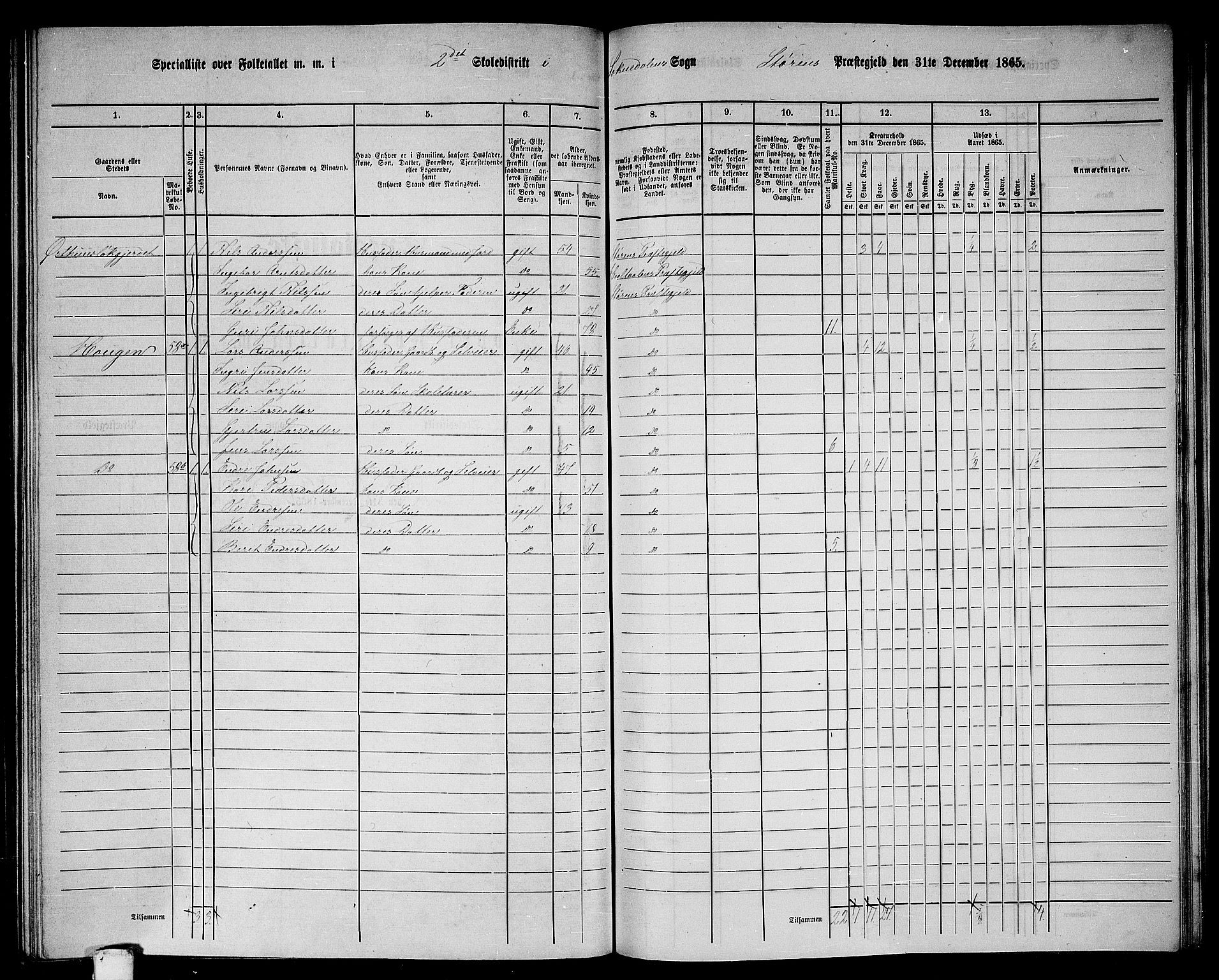 RA, 1865 census for Støren, 1865, p. 252