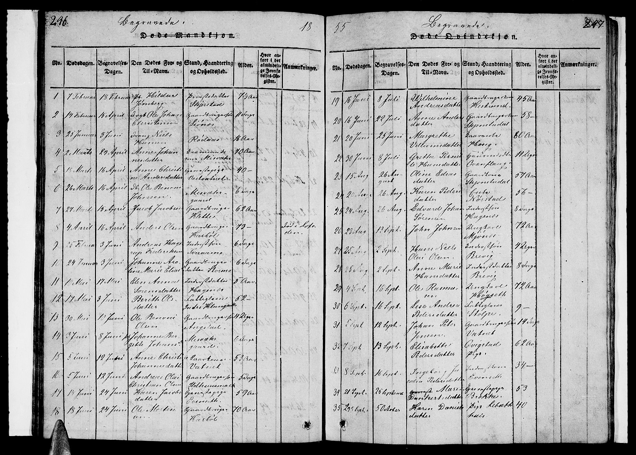 Ministerialprotokoller, klokkerbøker og fødselsregistre - Nordland, AV/SAT-A-1459/852/L0752: Parish register (copy) no. 852C03, 1840-1855, p. 246-247