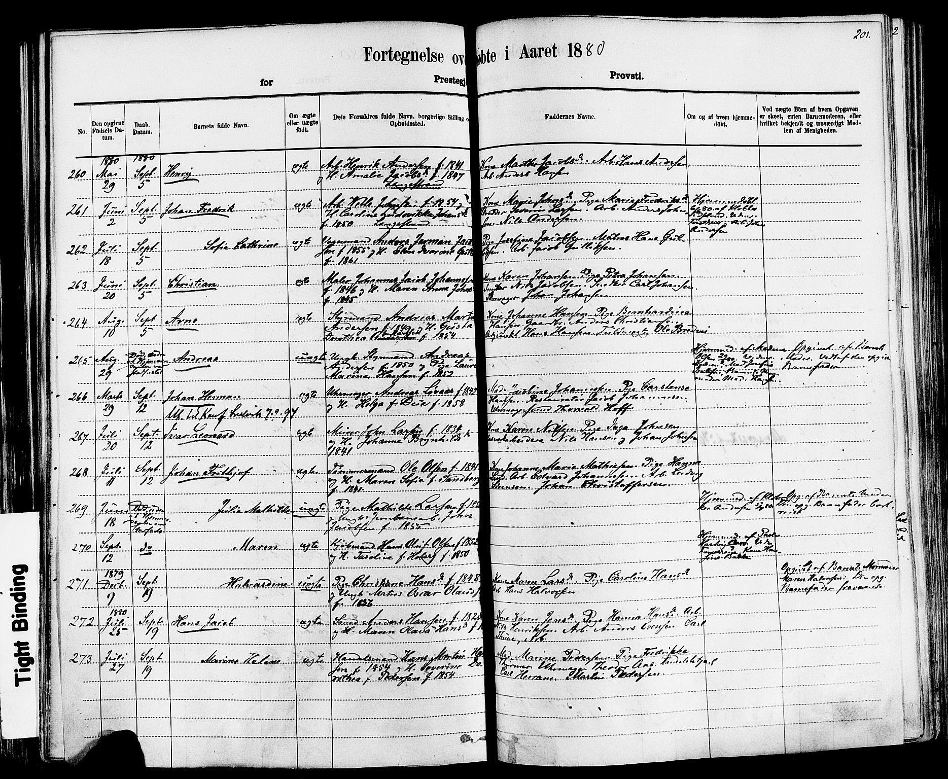 Larvik kirkebøker, SAKO/A-352/F/Fa/L0006: Parish register (official) no. I 6, 1871-1883, p. 201