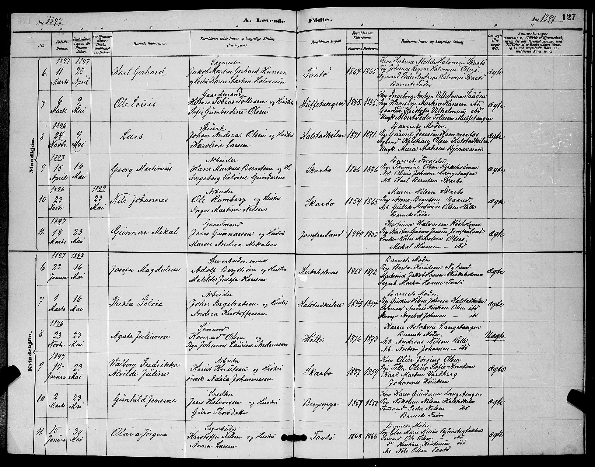 Skåtøy kirkebøker, AV/SAKO-A-304/G/Ga/L0003: Parish register (copy) no. I 3, 1884-1898, p. 127