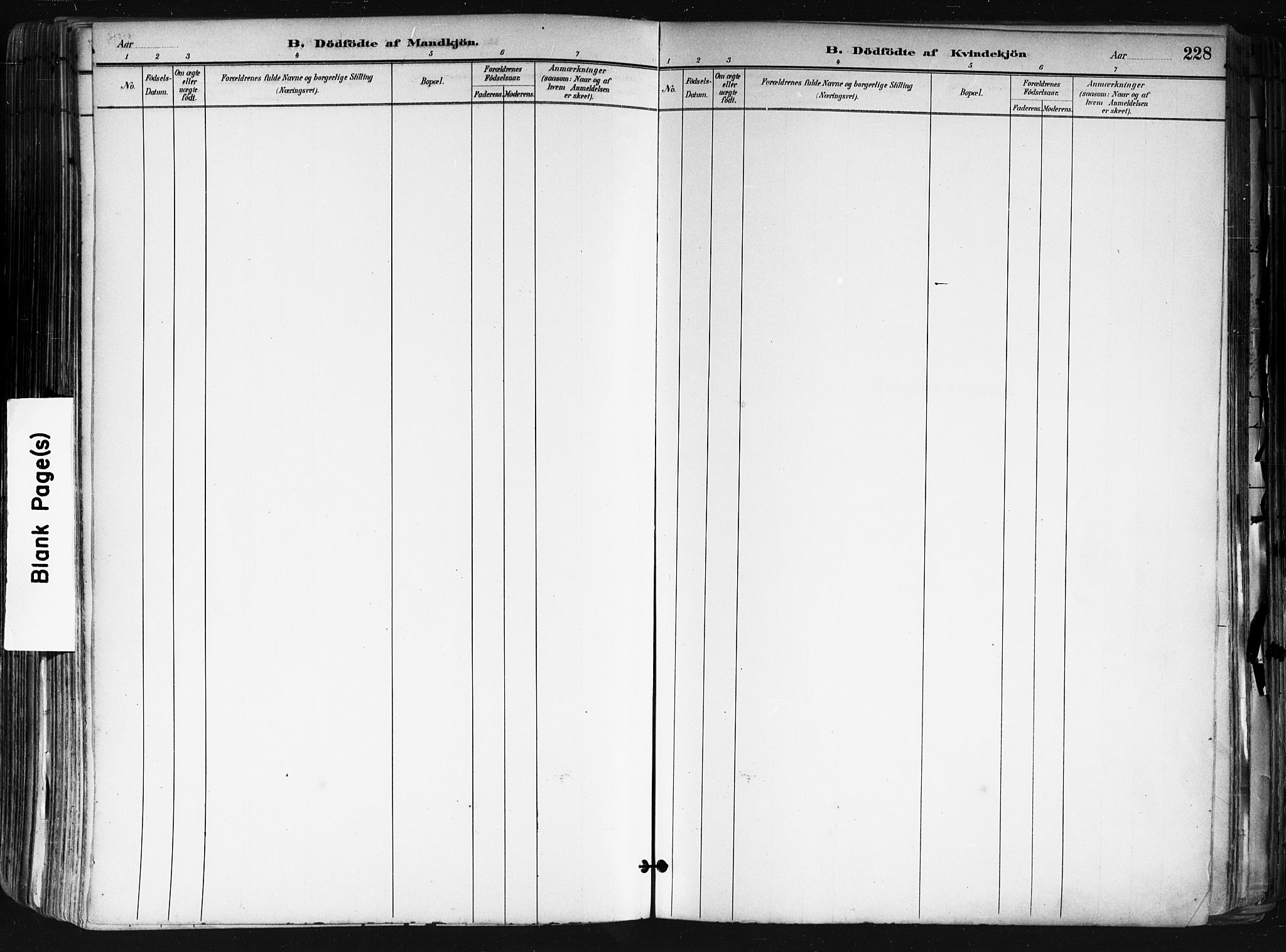 Nes prestekontor Kirkebøker, AV/SAO-A-10410/F/Fa/L0010: Parish register (official) no. I 10, 1883-1898, p. 228