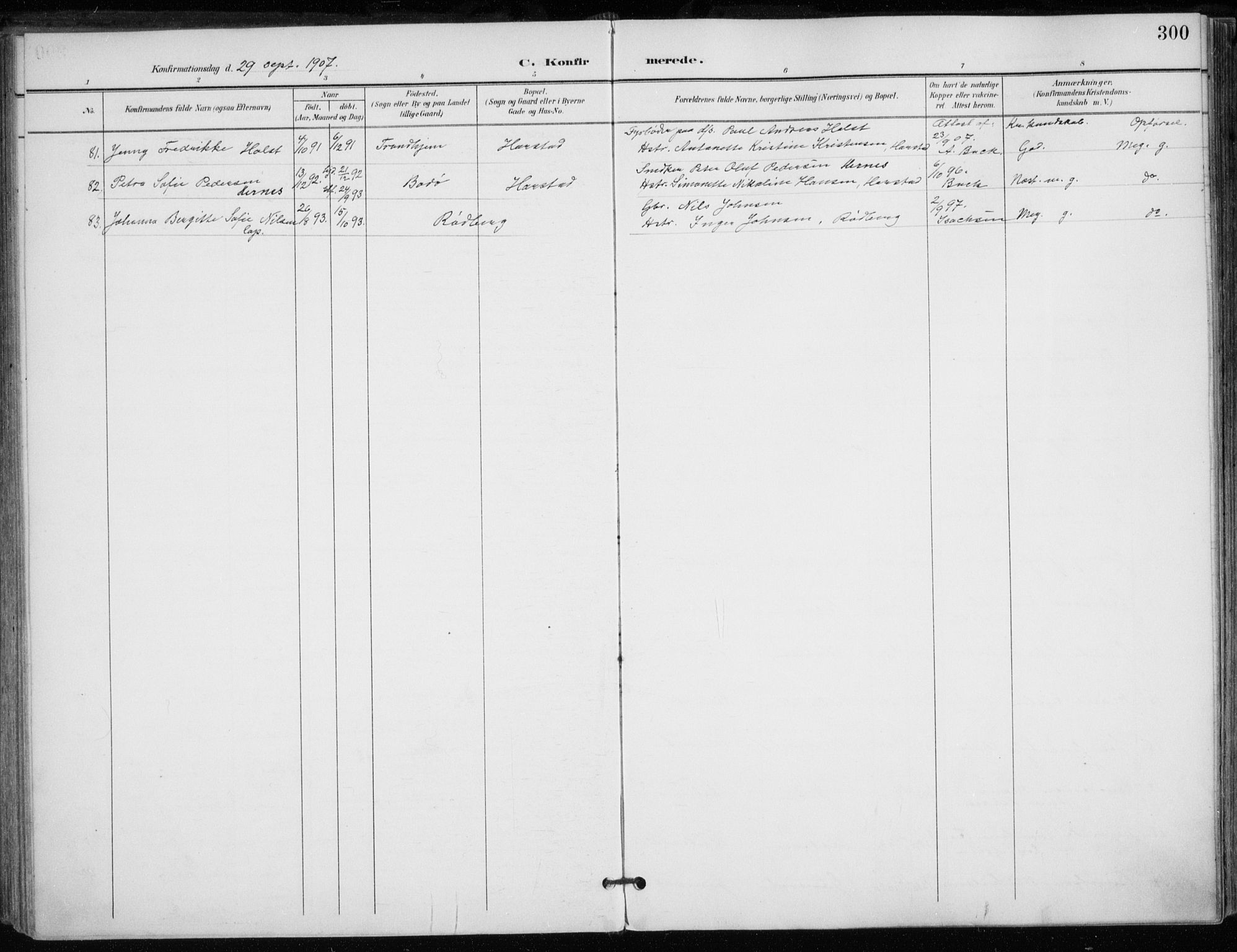 Trondenes sokneprestkontor, AV/SATØ-S-1319/H/Ha/L0017kirke: Parish register (official) no. 17, 1899-1908, p. 300