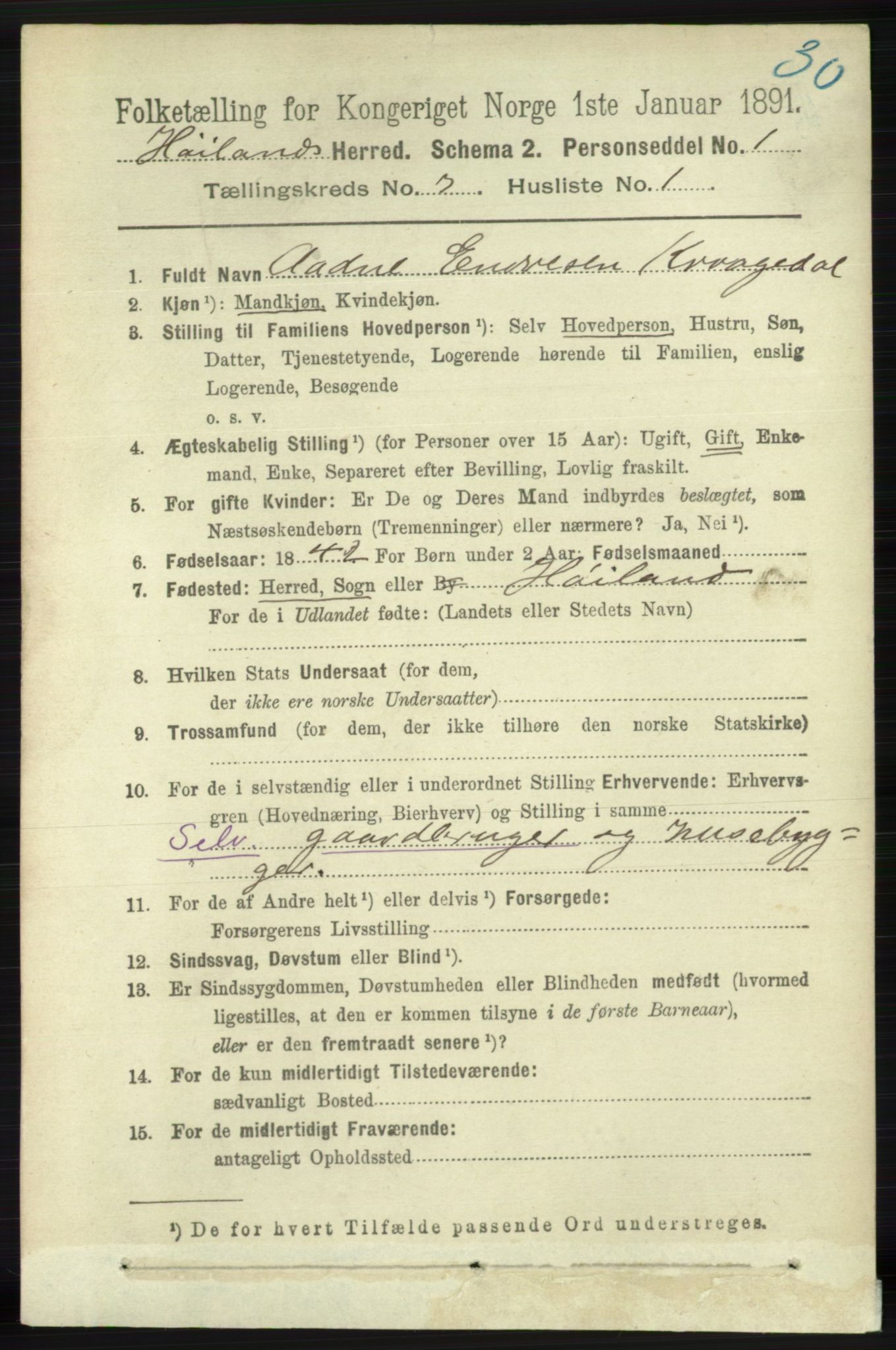 RA, 1891 census for 1123 Høyland, 1891, p. 668