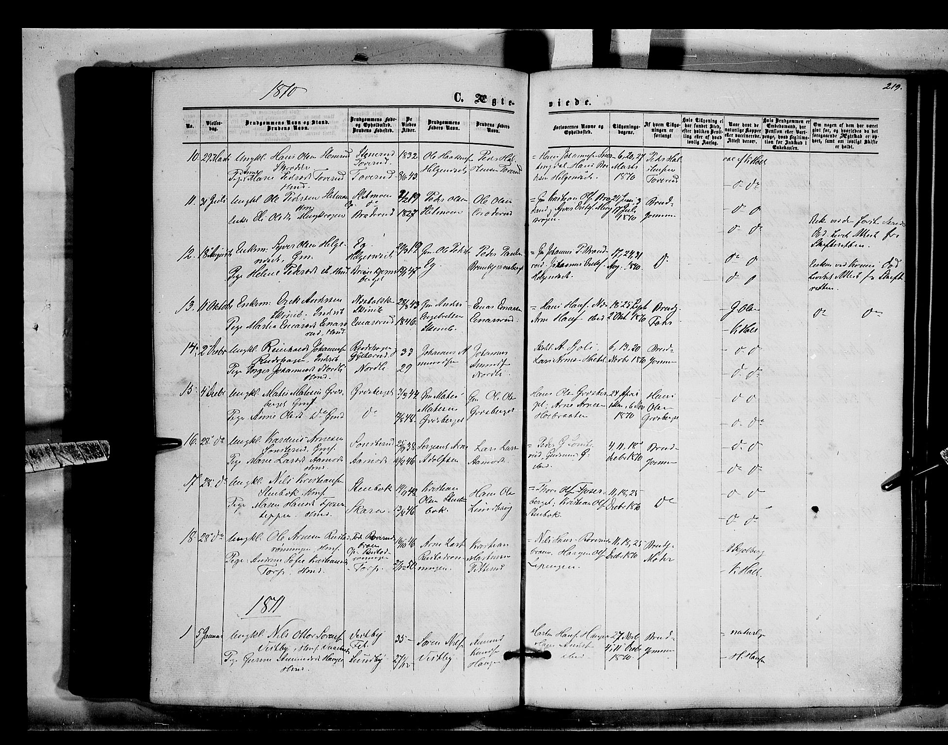 Brandval prestekontor, SAH/PREST-034/H/Ha/Haa/L0001: Parish register (official) no. 1, 1864-1879, p. 219