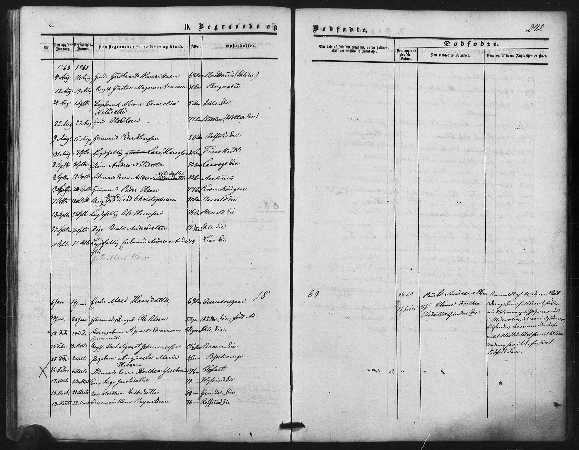 Nes prestekontor Kirkebøker, SAO/A-10410/F/Fb/L0001: Parish register (official) no. II 1, 1859-1882, p. 242
