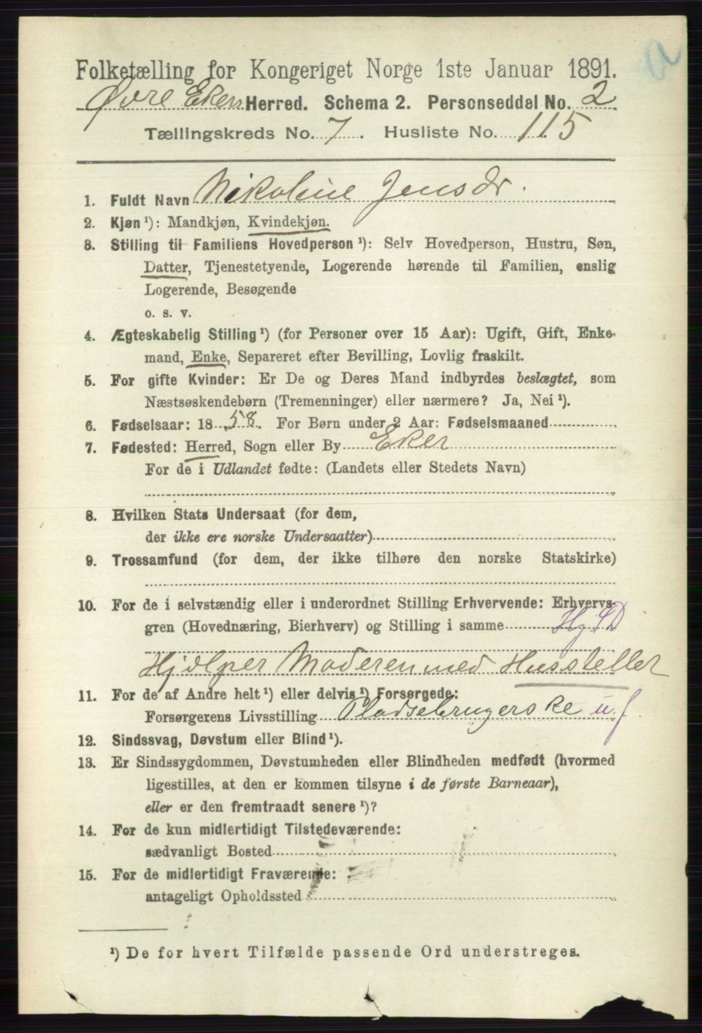 RA, 1891 census for 0624 Øvre Eiker, 1891, p. 3133