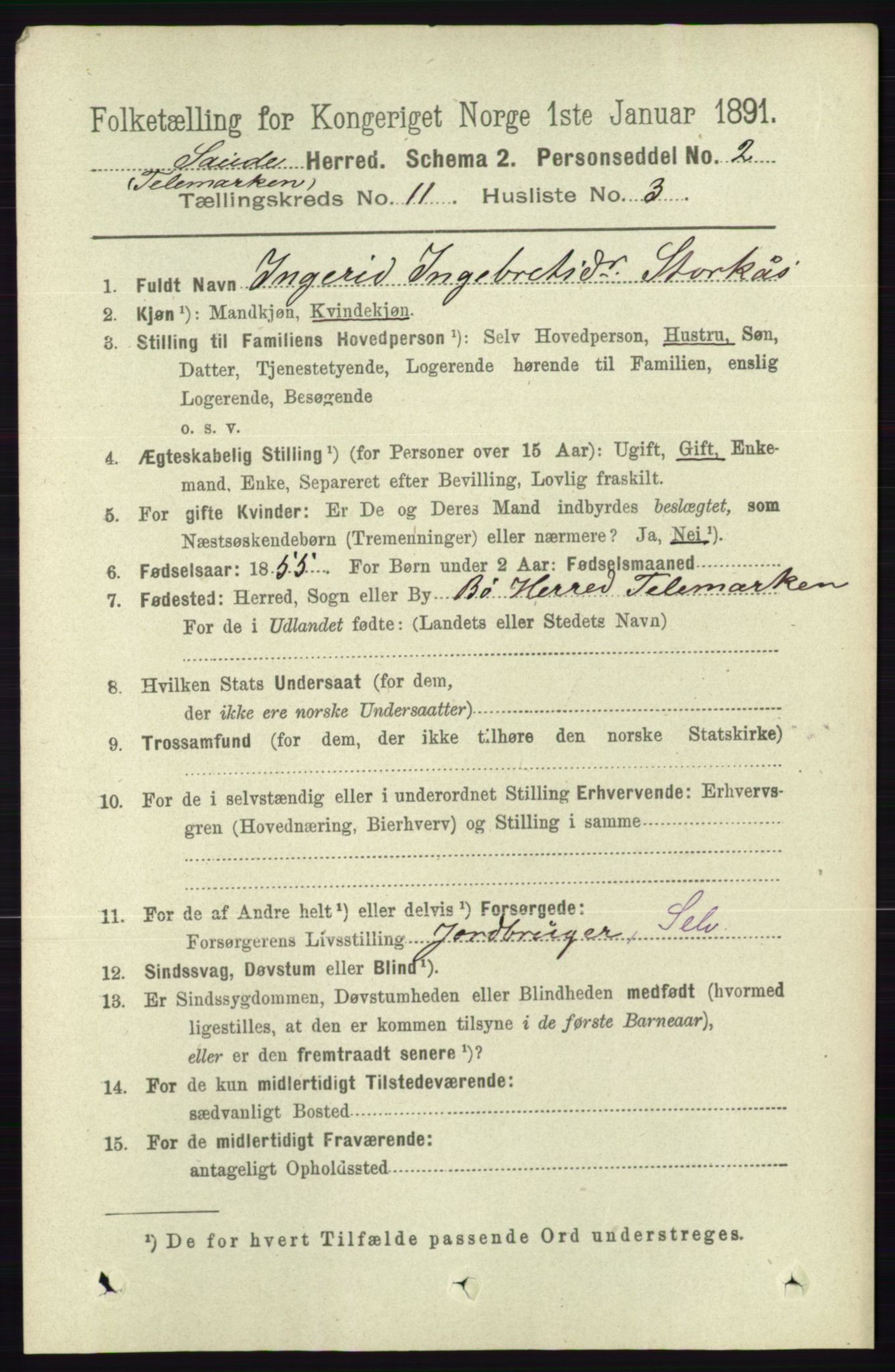 RA, 1891 census for 0822 Sauherad, 1891, p. 3387