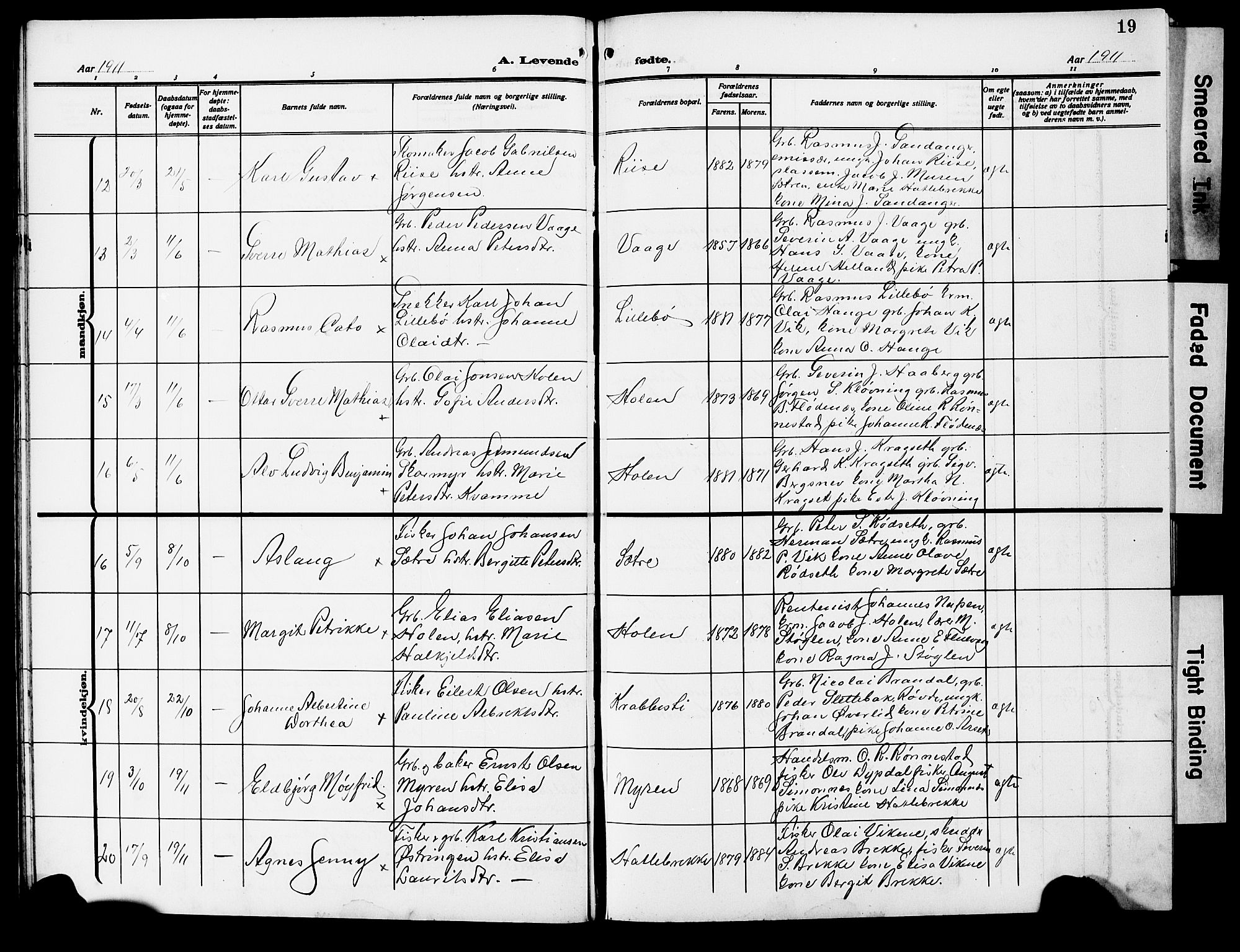 Ministerialprotokoller, klokkerbøker og fødselsregistre - Møre og Romsdal, AV/SAT-A-1454/503/L0050: Parish register (copy) no. 503C05, 1909-1922, p. 19